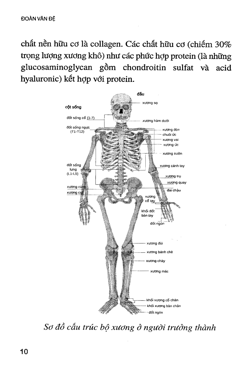 phòng và chữa bệnh loãng xương (tái bản)