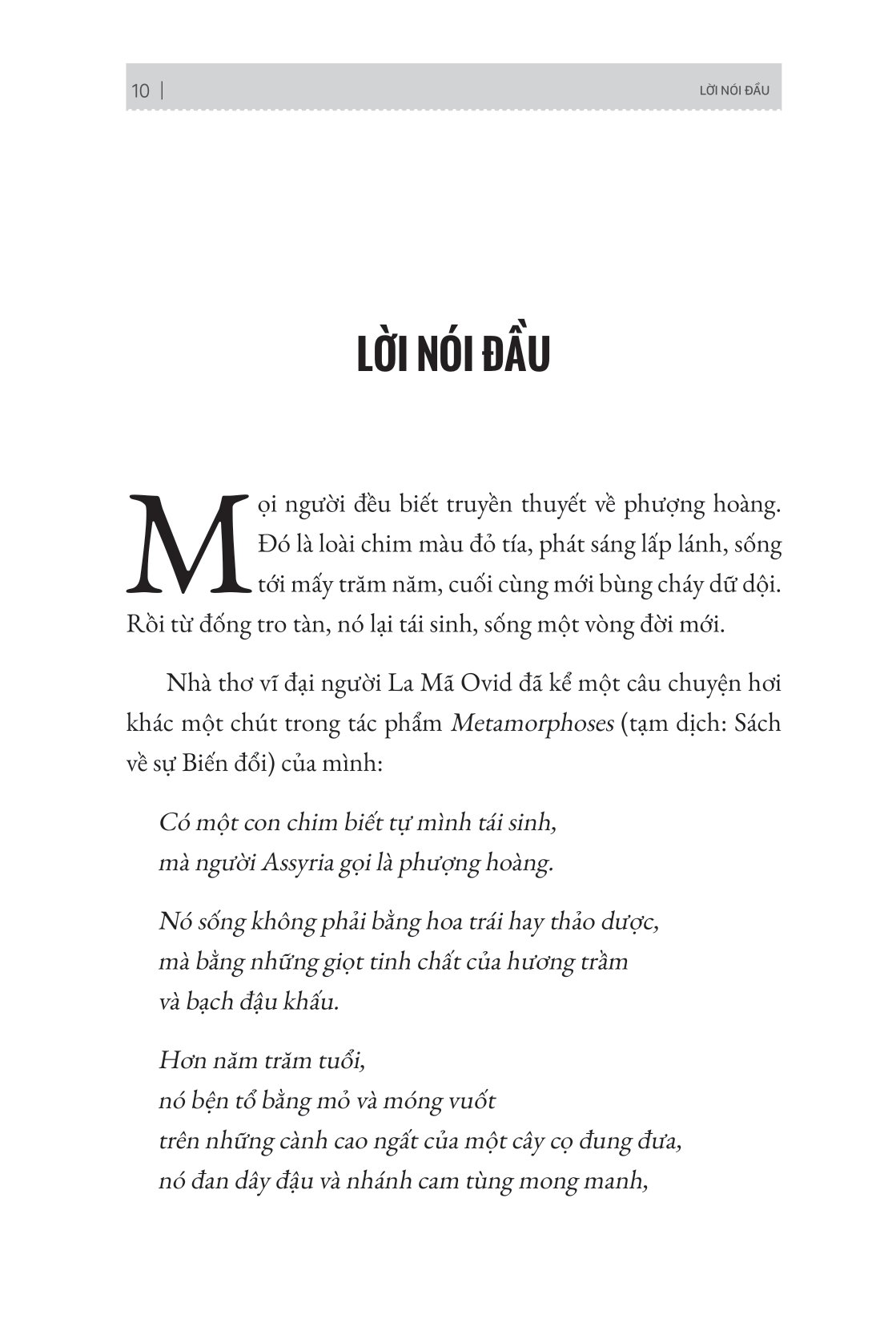 phượng hoàng tái sinh - 12 phẩm chất quan trọng để bứt phá sự nghiệp và cuộc sống
