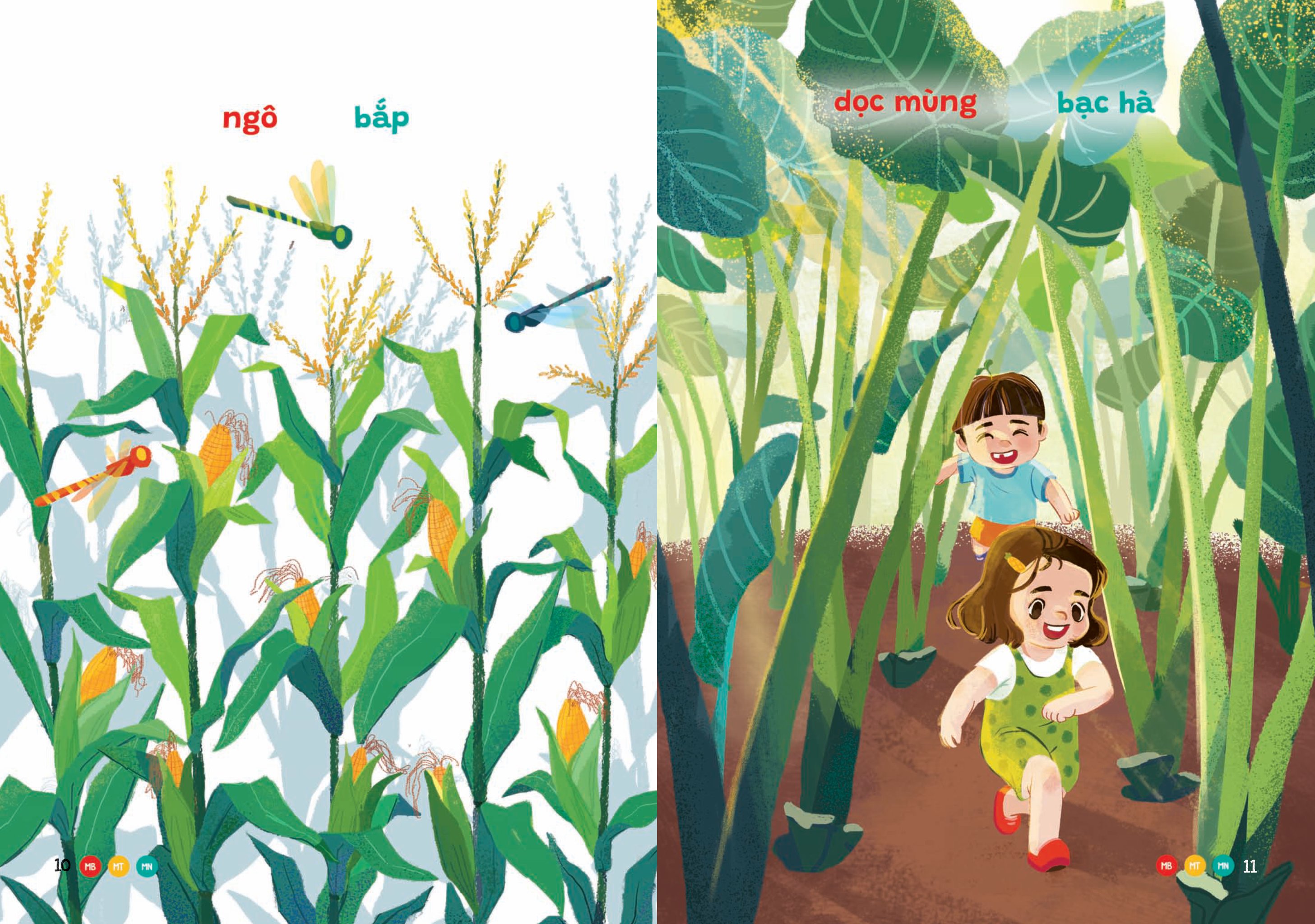 phương ngữ việt nam - từ vườn đến nông trại - từ vựng phong phú cho bé