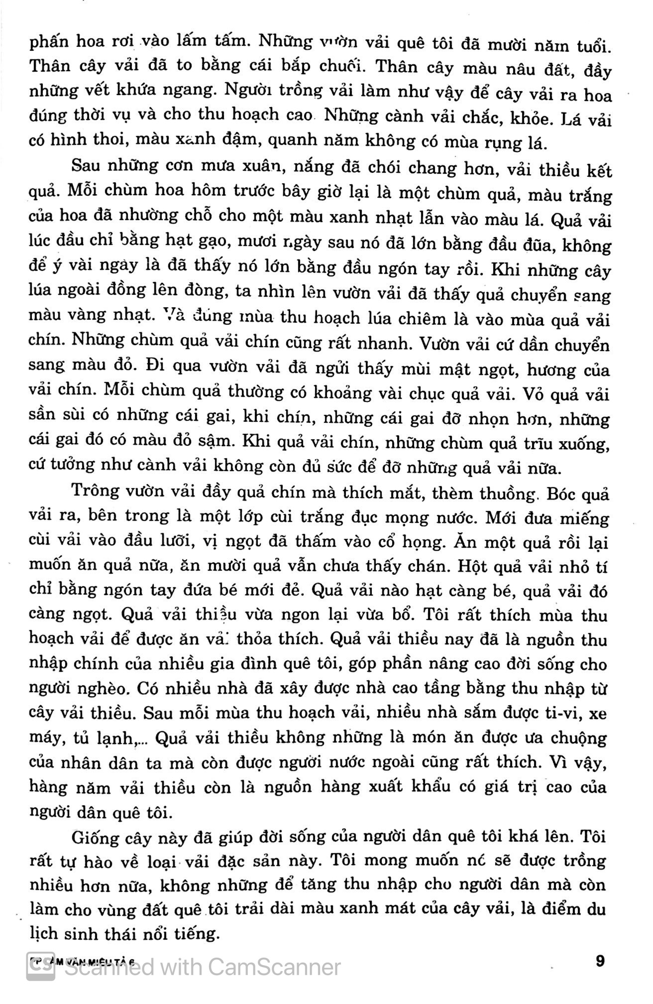phương pháp làm văn miêu tả 6 (tái bản 2019)