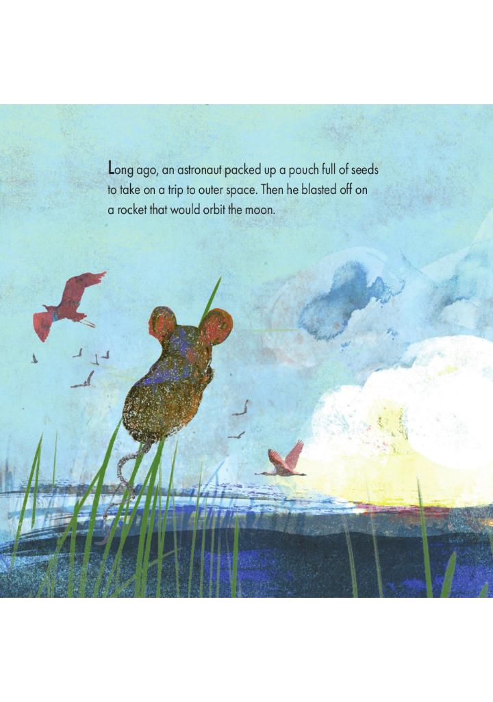 Picture Book Square - The Moon Seed