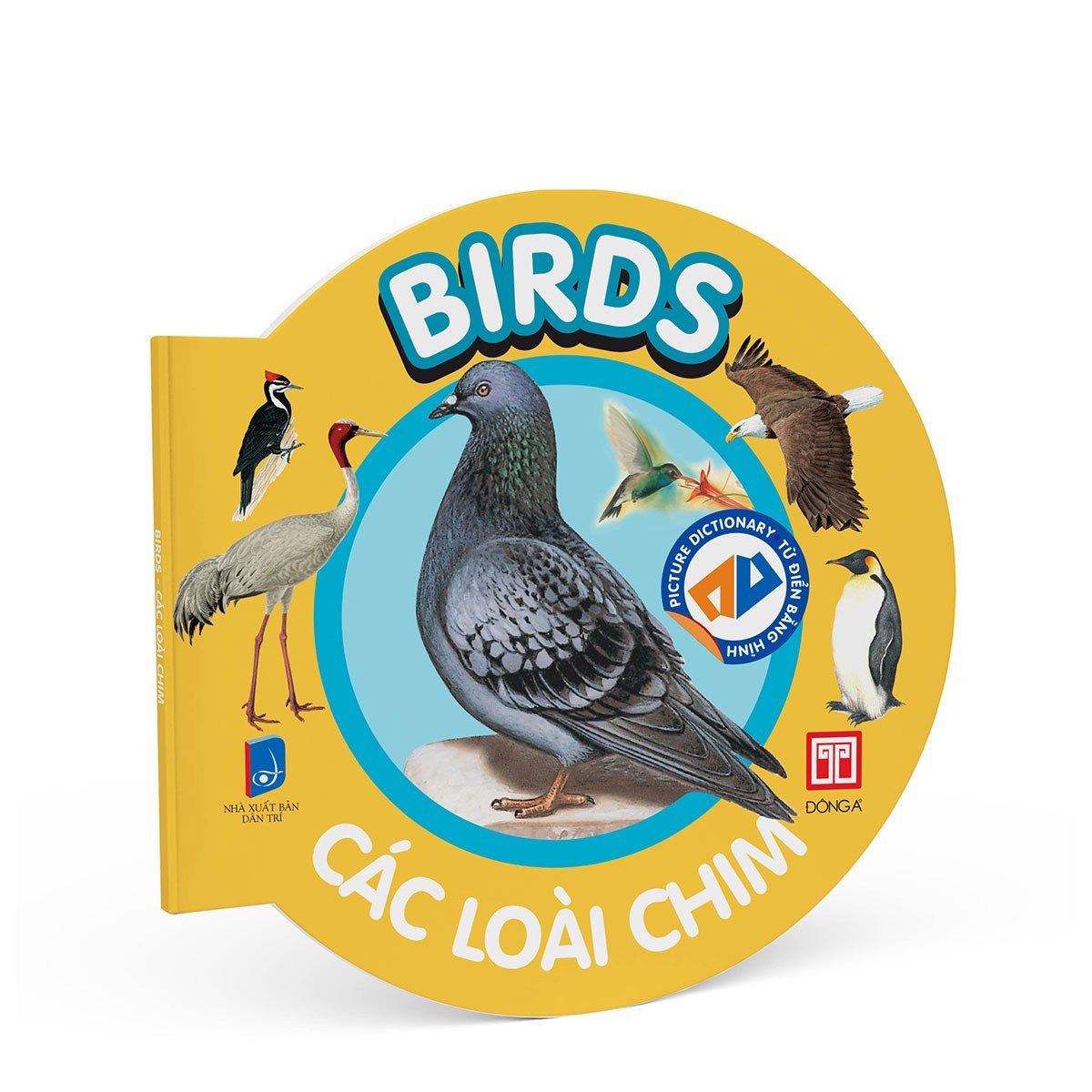 picture dictionary - từ điển bằng hình - birds - các loài chim - bìa cứng