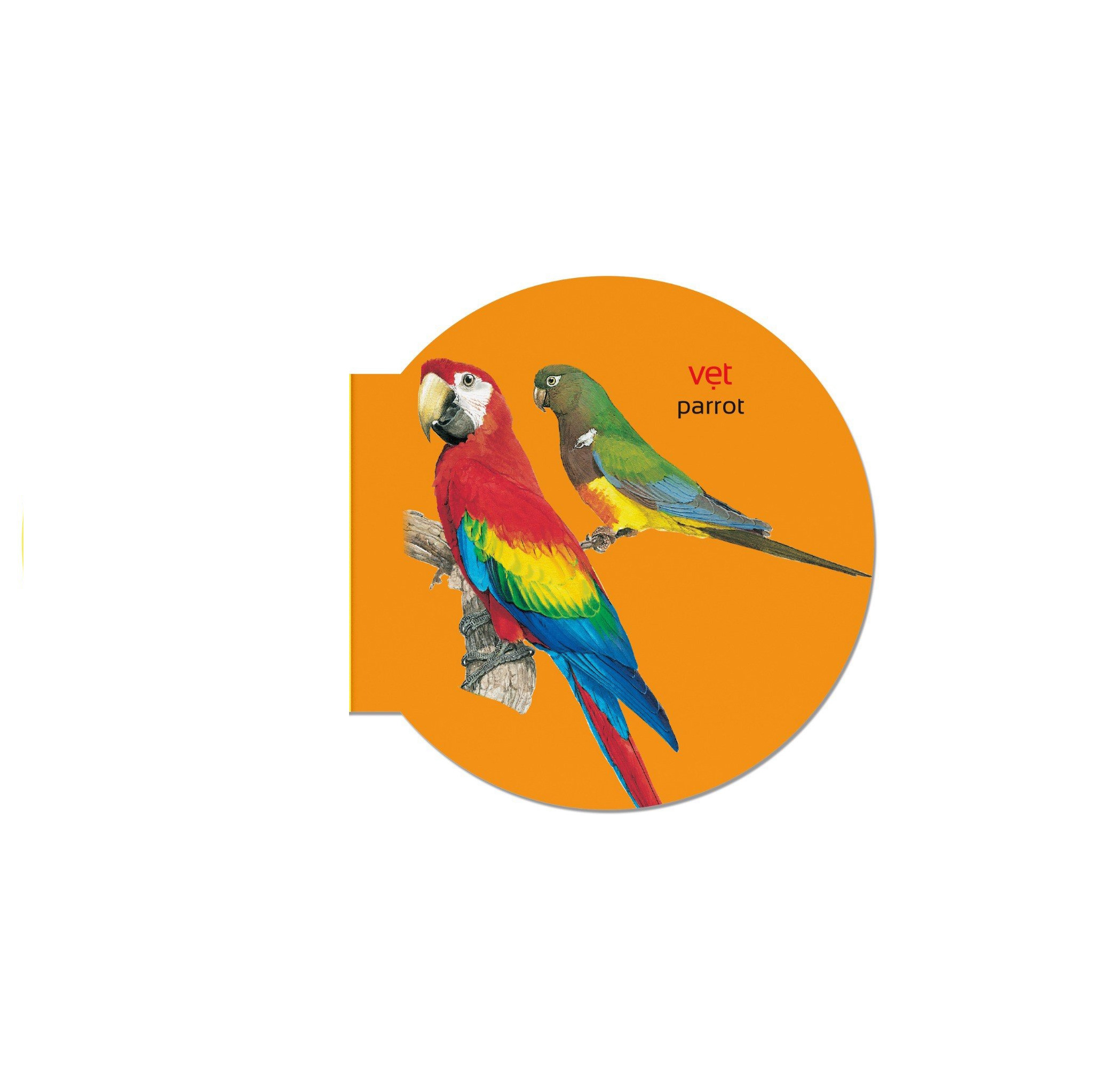 picture dictionary - từ điển bằng hình - birds - các loài chim - bìa cứng