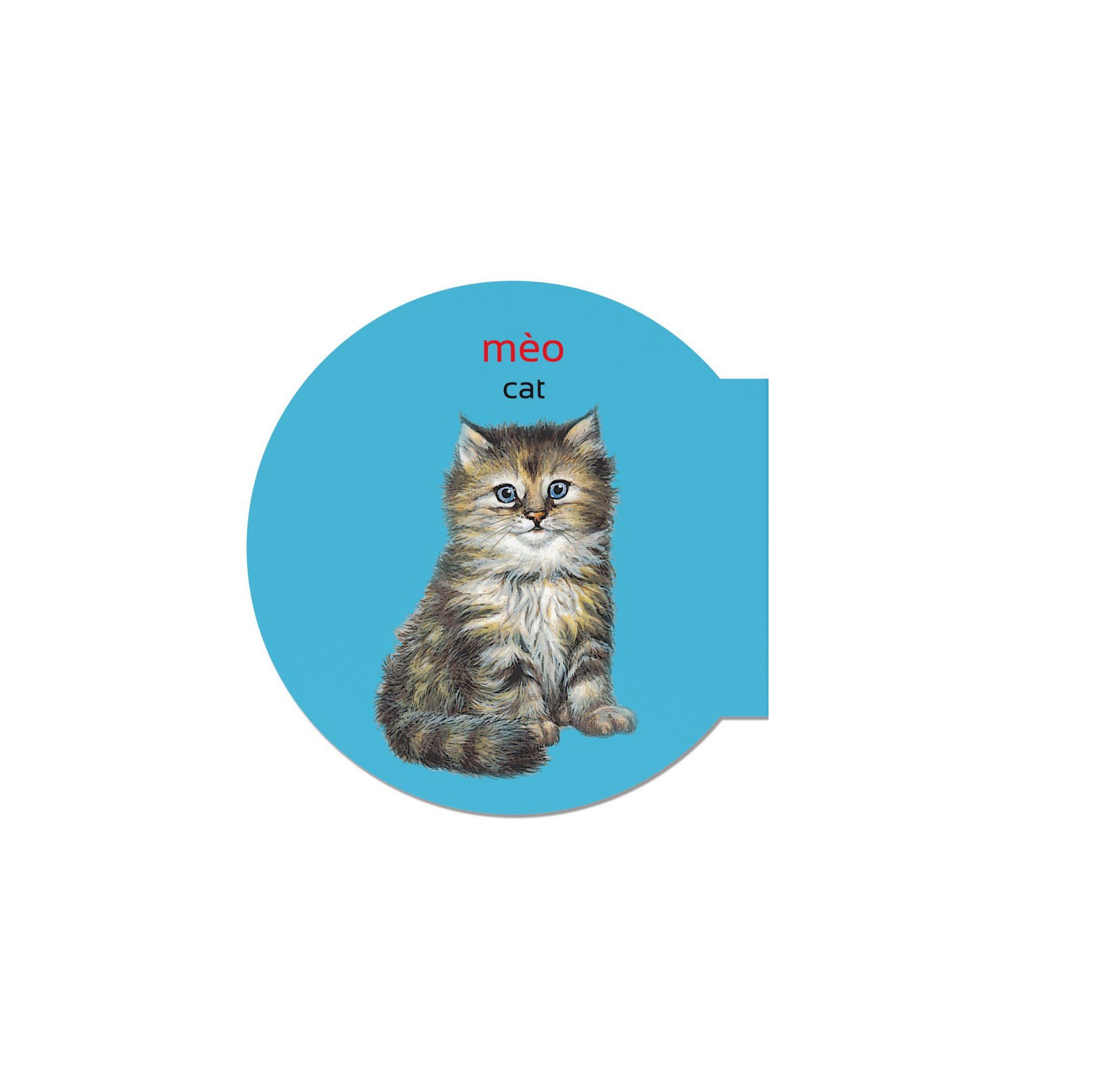 picture dictionary - từ điển bằng hình - domestic animals - động vật nuôi - bìa cứng (tái bản 2023)