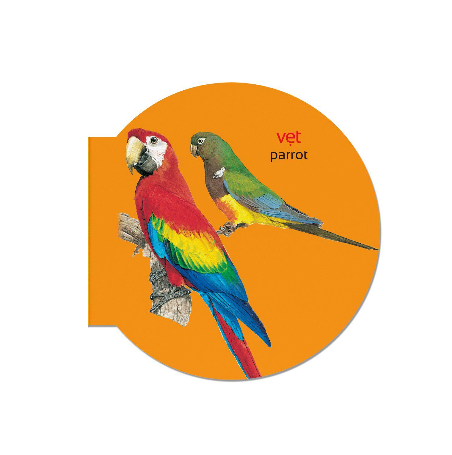 picture dictionary - từ điển bằng hình - domestic animals - động vật nuôi - bìa cứng (tái bản 2023)