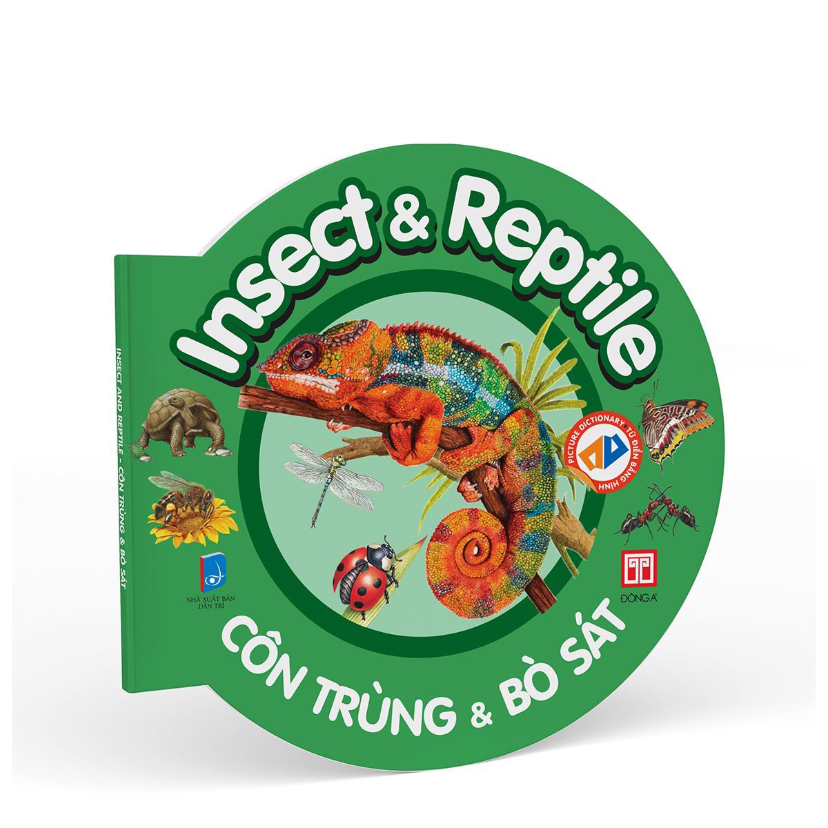 picture dictionary - từ điển bằng hình - insect and reptile - côn trùng và bò sát - bìa cứng
