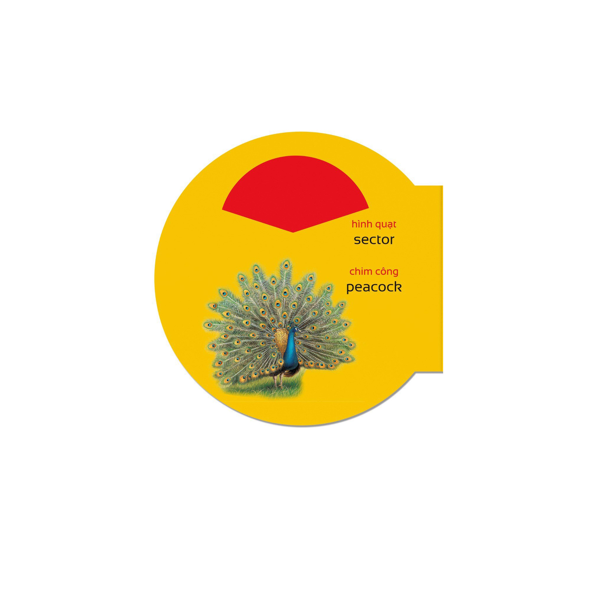 picture dictionary - từ điển bằng hình - shapes - hình dạng - bìa cứng