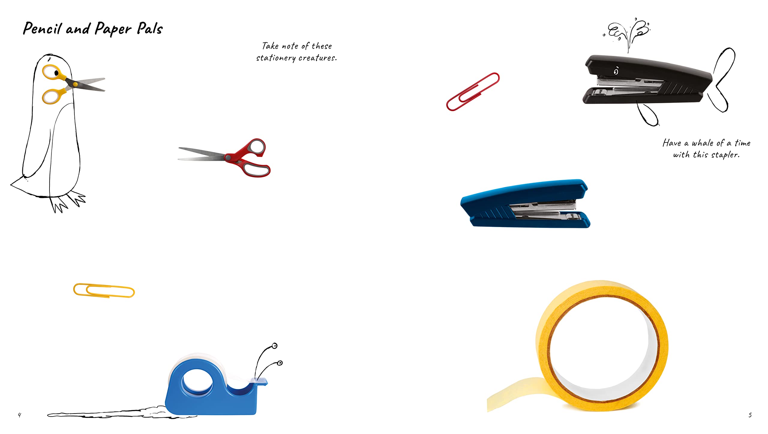 picture this! animals