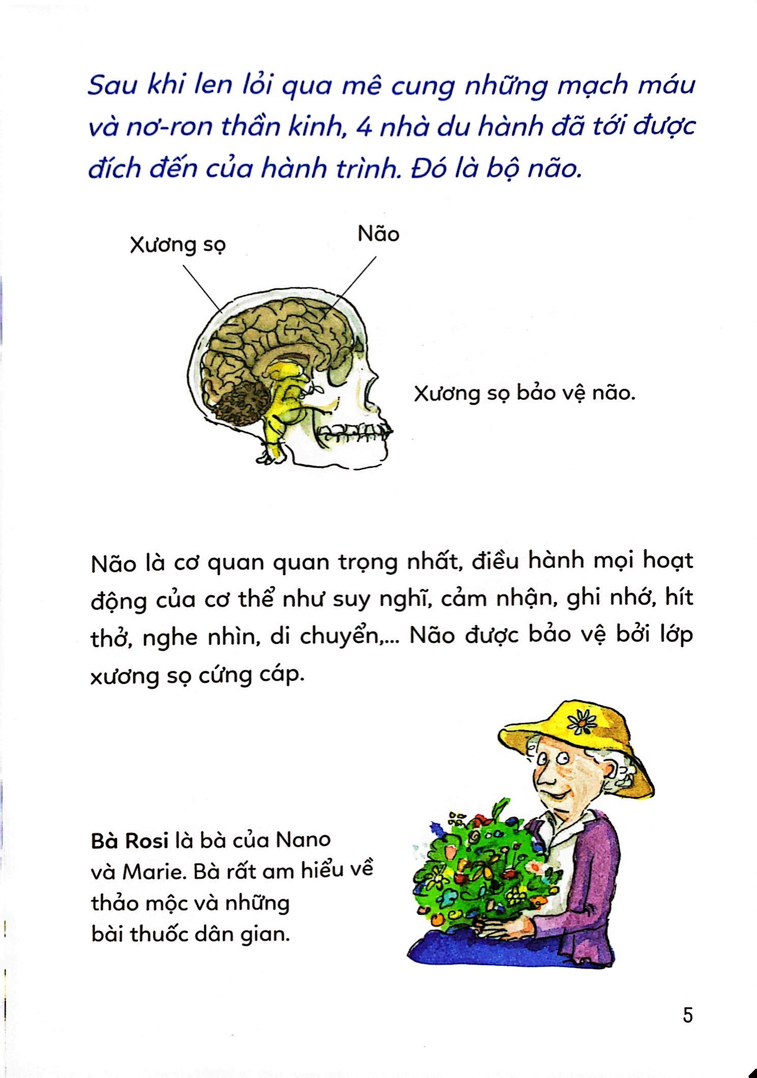 pixi thông thái - cơ thể diệu kỳ