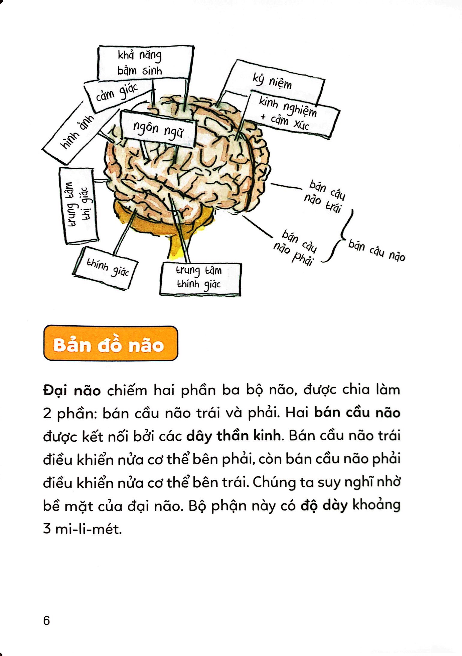 pixi thông thái - cơ thể diệu kỳ