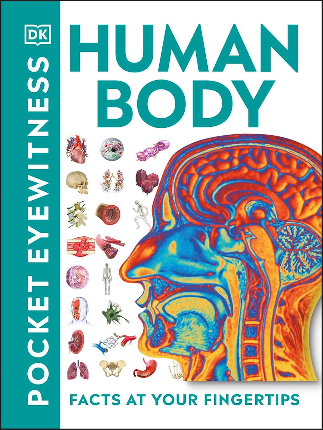 pocket eyewitness human body - facts at your fingertips