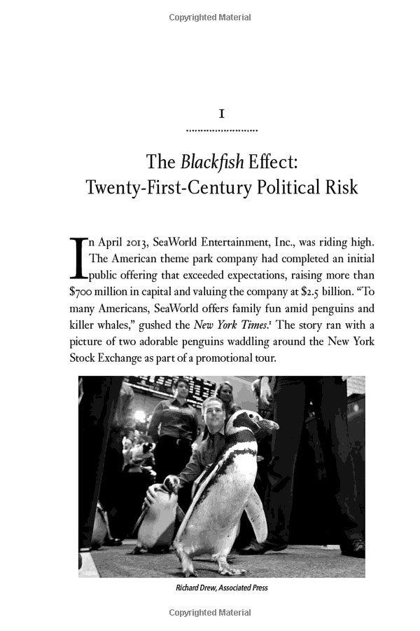 political risk: how businesses and organizations can anticipate global insecurity
