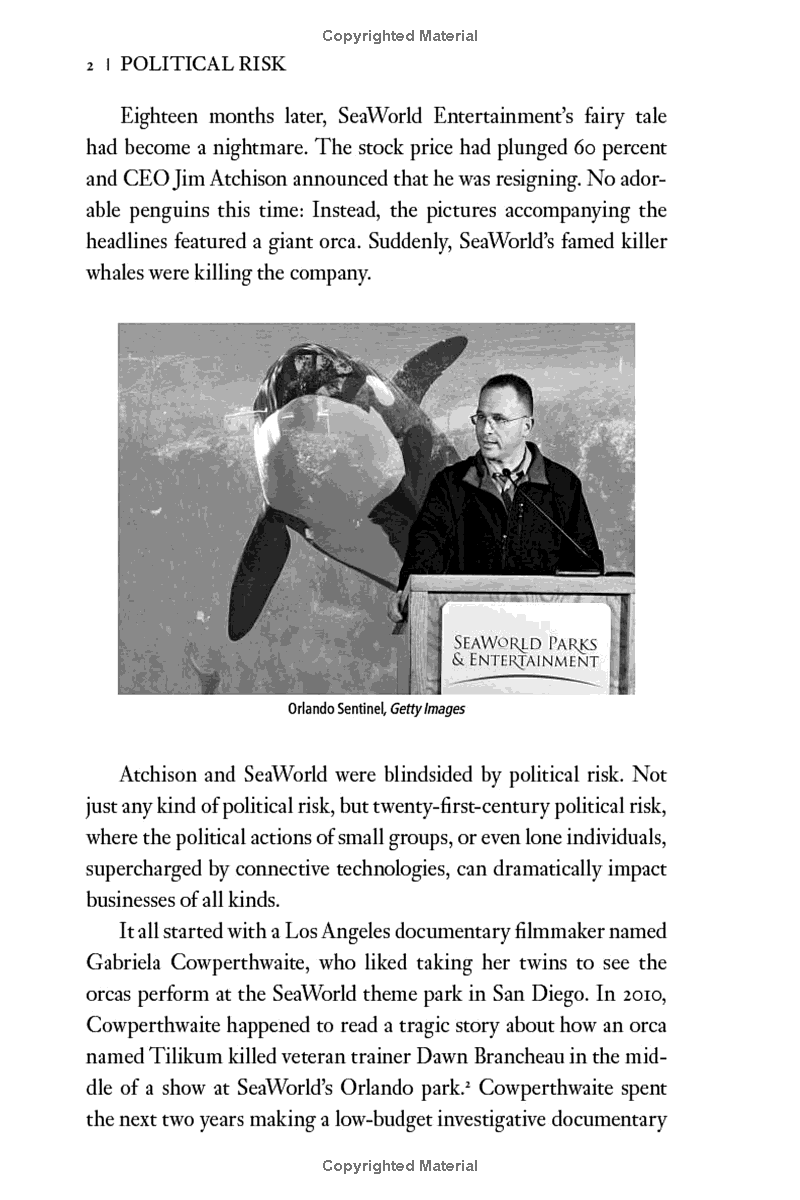 political risk: how businesses and organizations can anticipate global insecurity