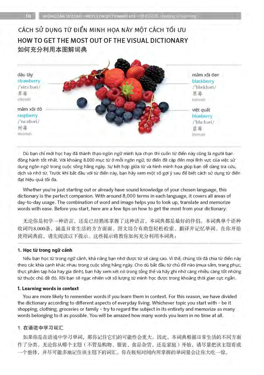 pons general reference - trilingual visual dictionary vietnamese - english - chinese