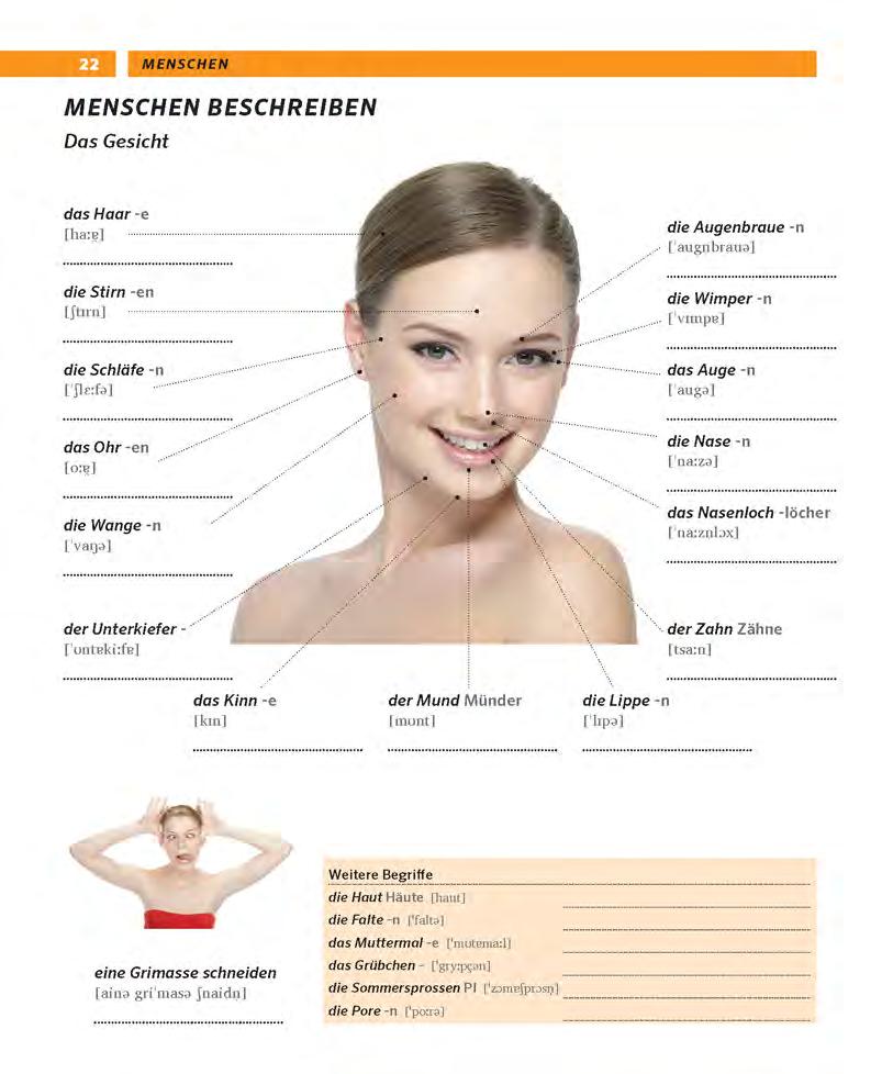 pons tự học tiếng đức qua hình