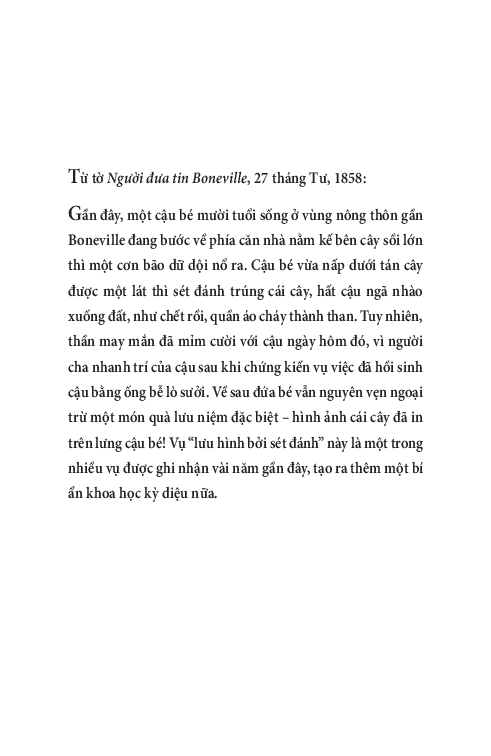 pony - chú ngựa dũng mãnh