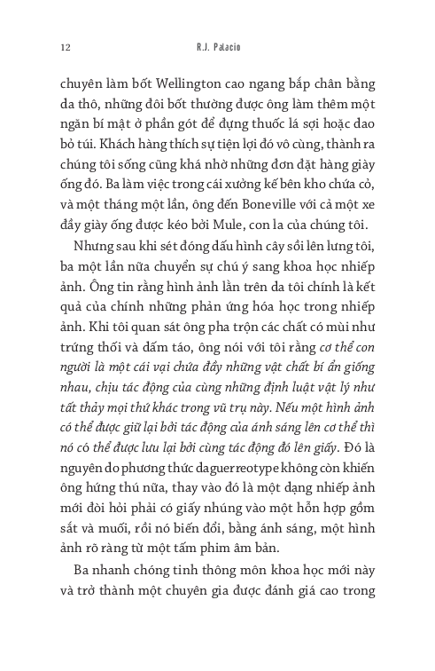 pony - chú ngựa dũng mãnh