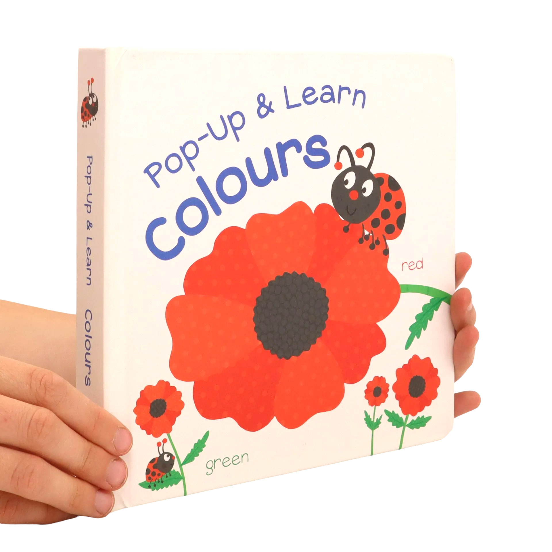 pop-up & learn - colours