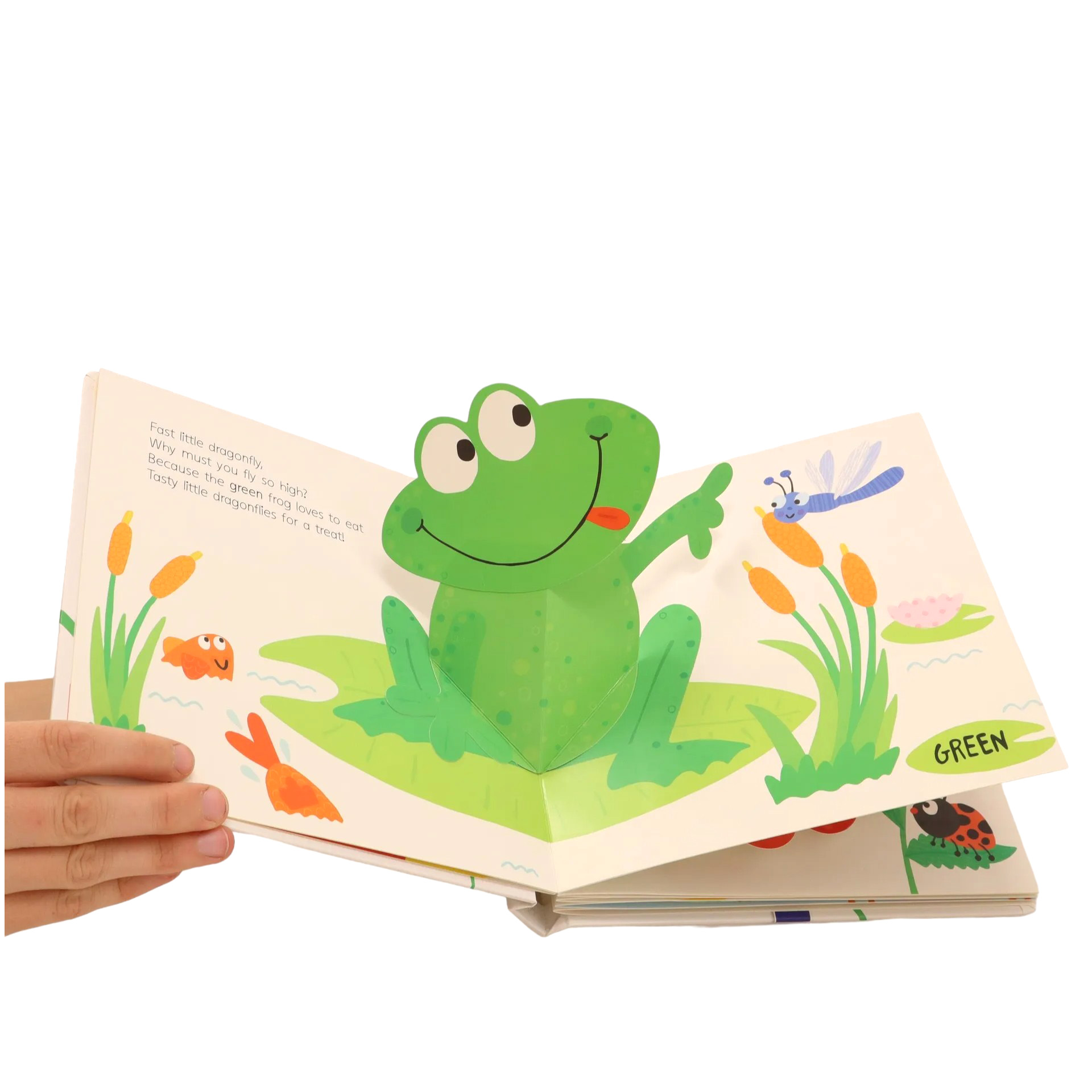 pop-up & learn - colours