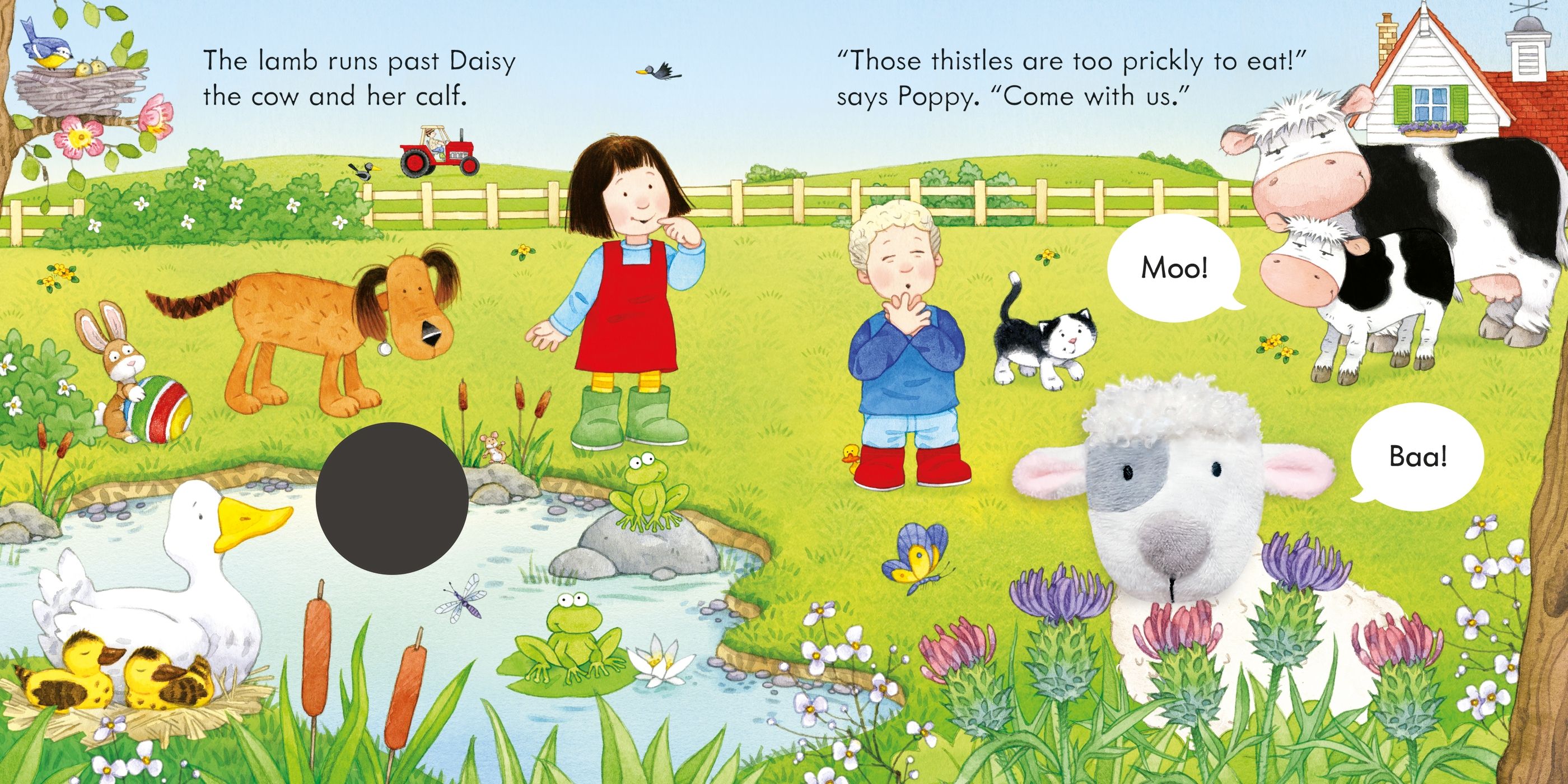 poppy and sam and the lamb