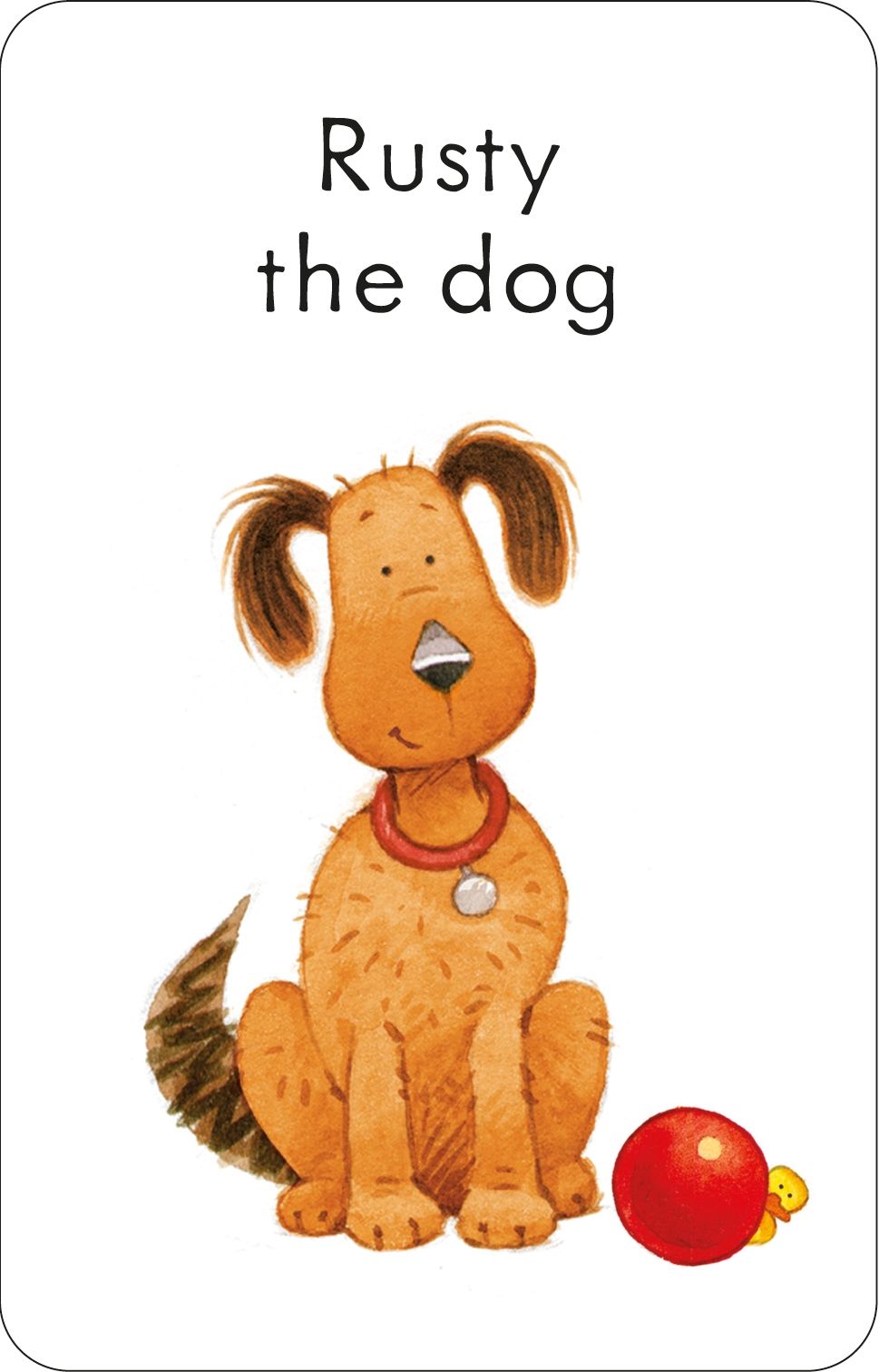 poppy and sam's snap cards