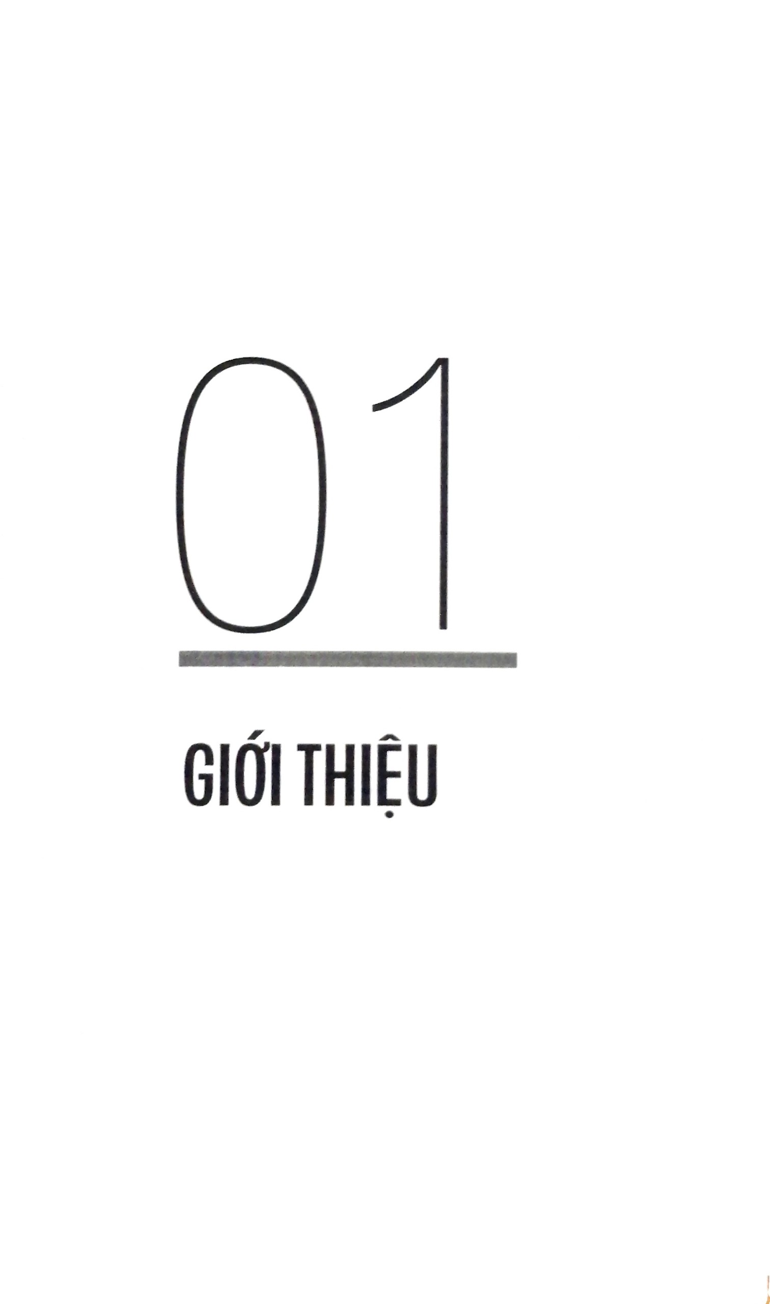 power pricing - chiến lược định giá đột phá thị trường