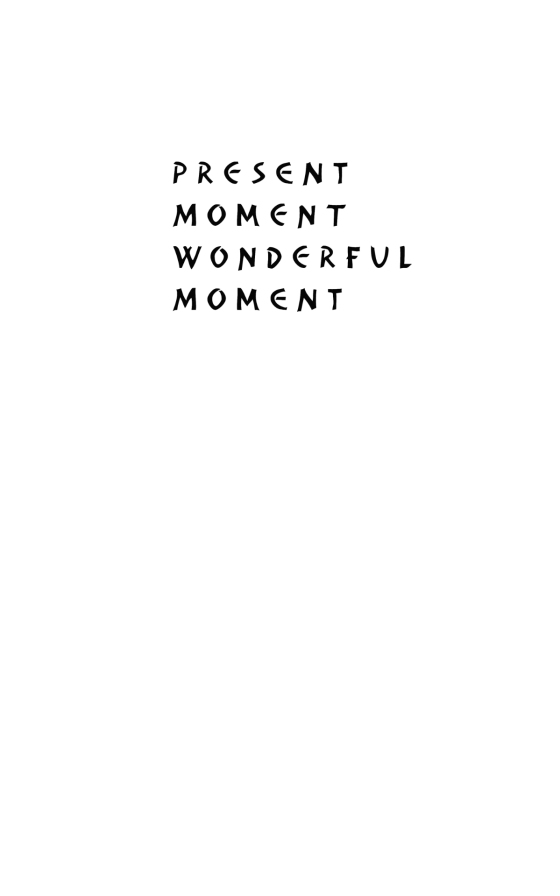 present moment wonderful moment