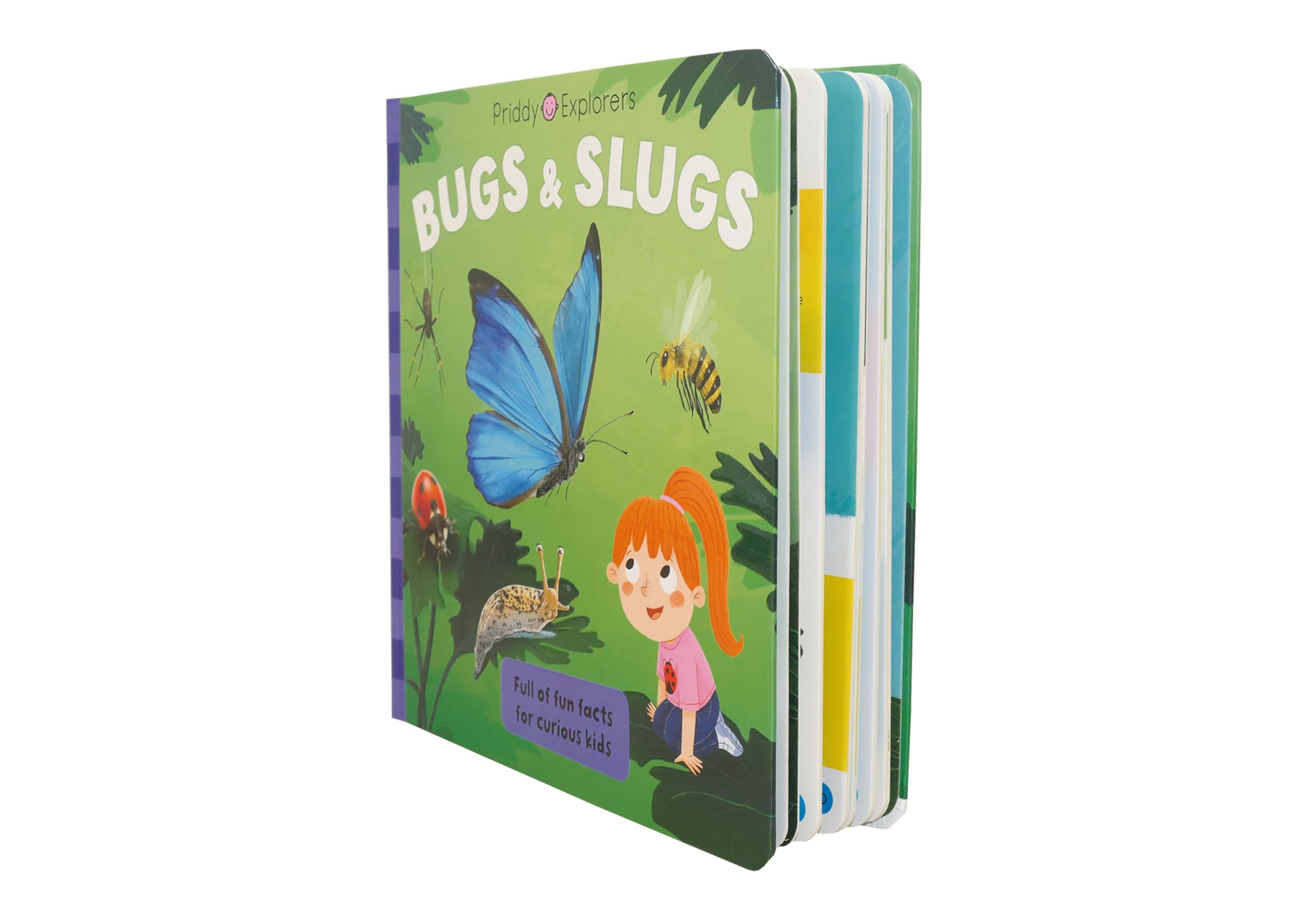 priddy explorers bugs & slugs