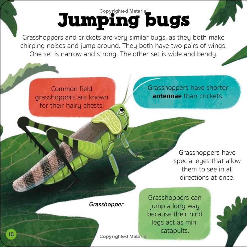 priddy explorers bugs & slugs