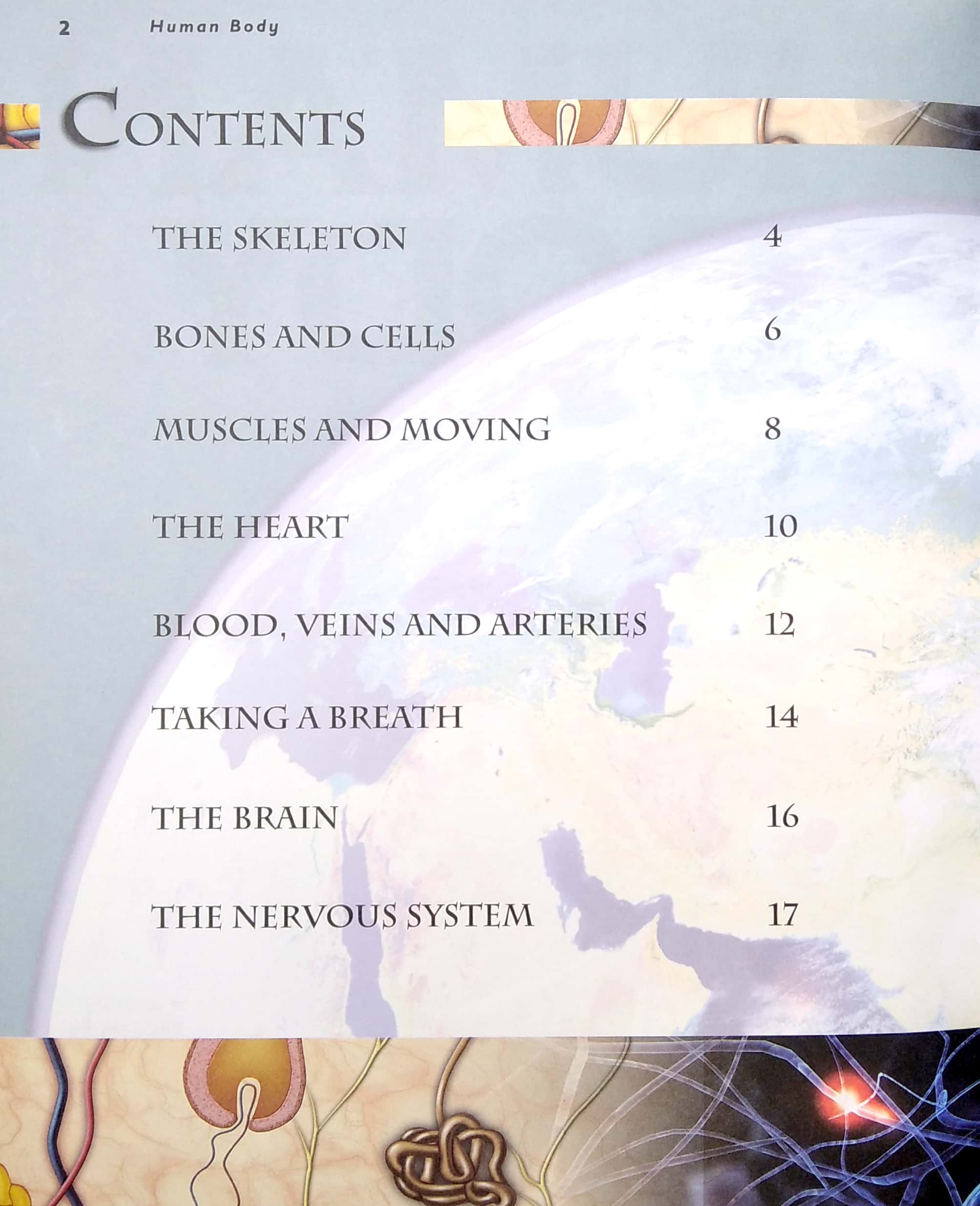 primary explorers: human body