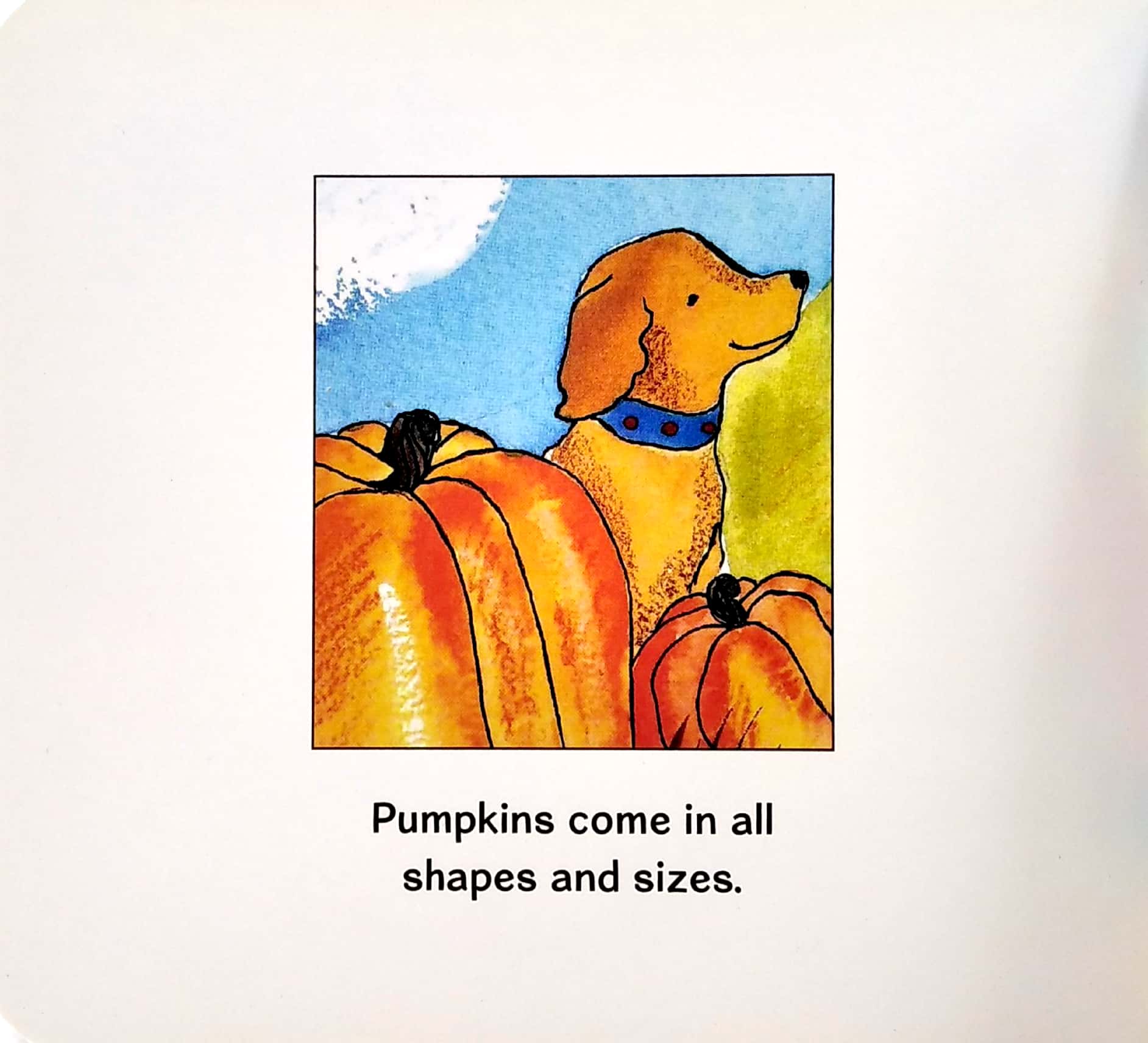 pumpkins