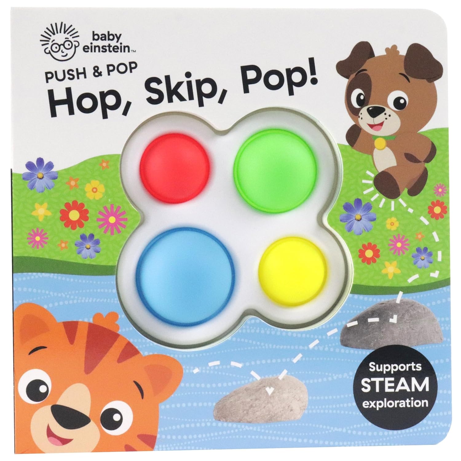 Push And Pop - Baby Einstein