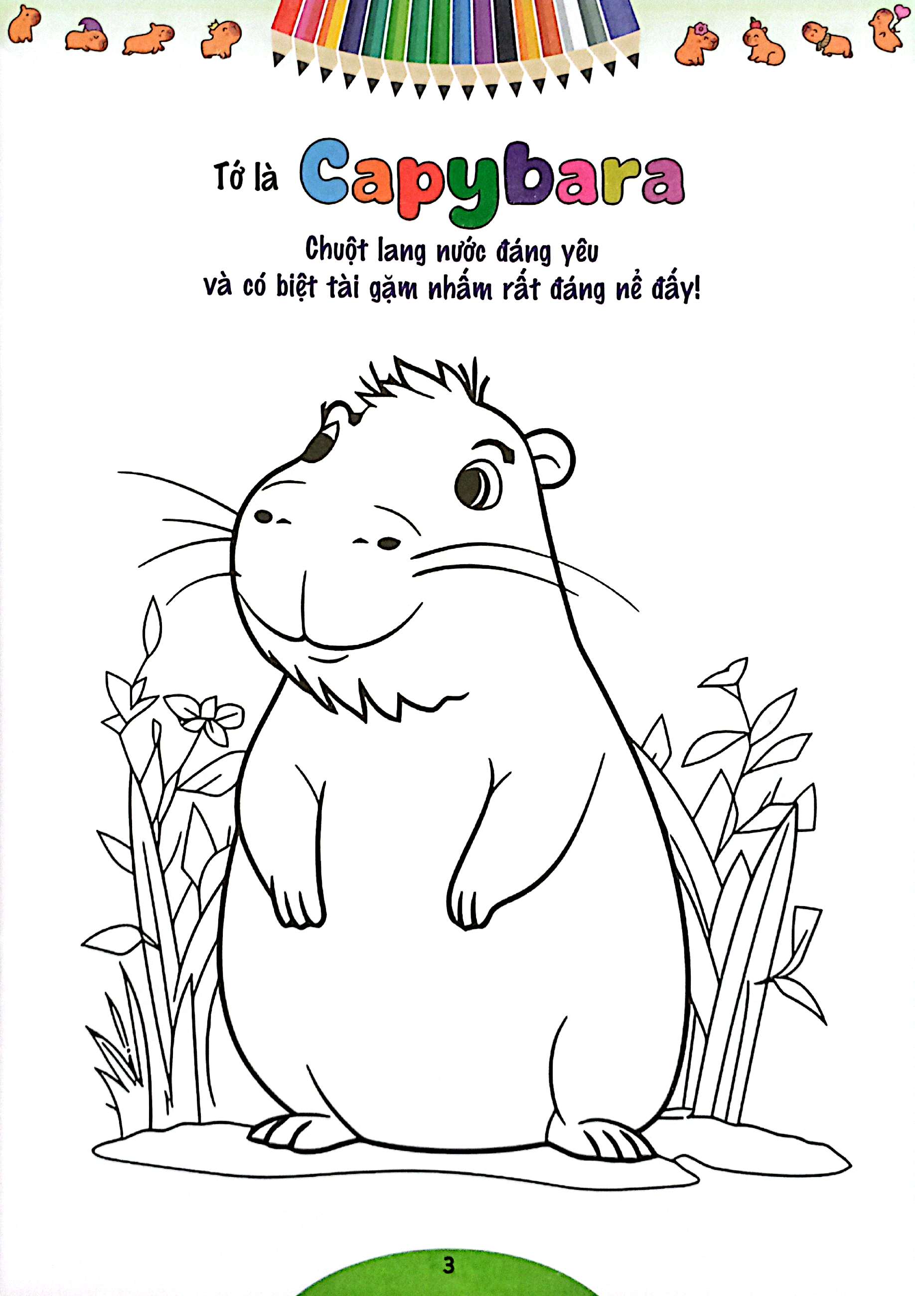 quà cho bé - bé tập tô màu capybara