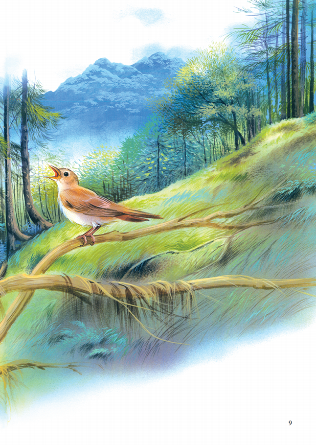 quạ học đòi chim ưng