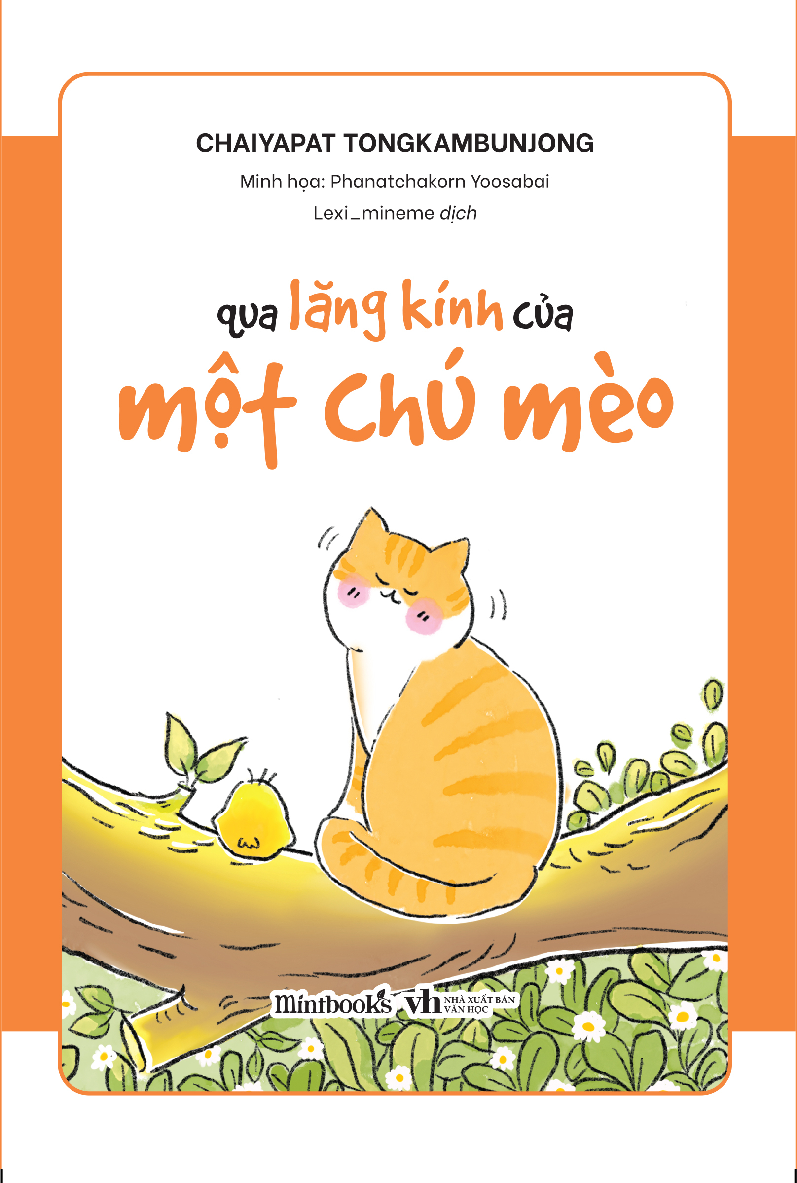 qua lăng kính của một chú mèo