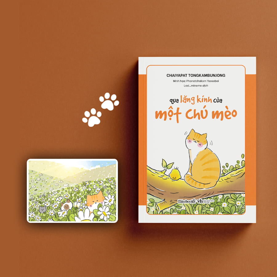 qua lăng kính của một chú mèo