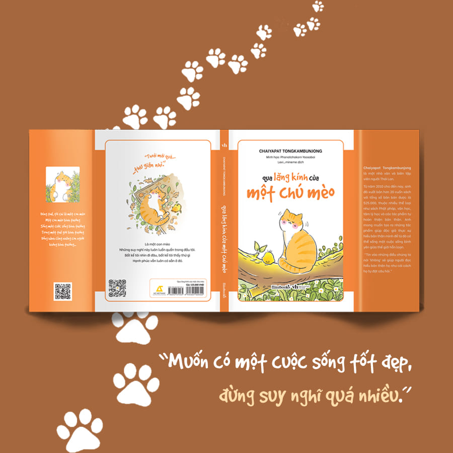 qua lăng kính của một chú mèo