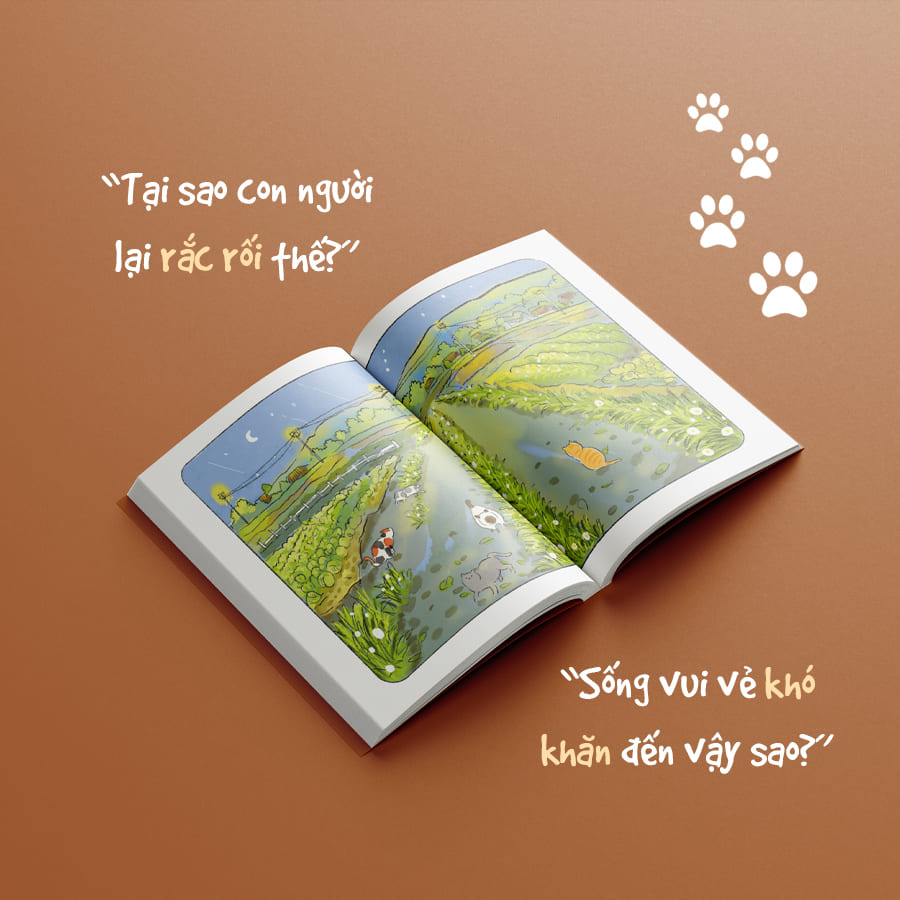 qua lăng kính của một chú mèo