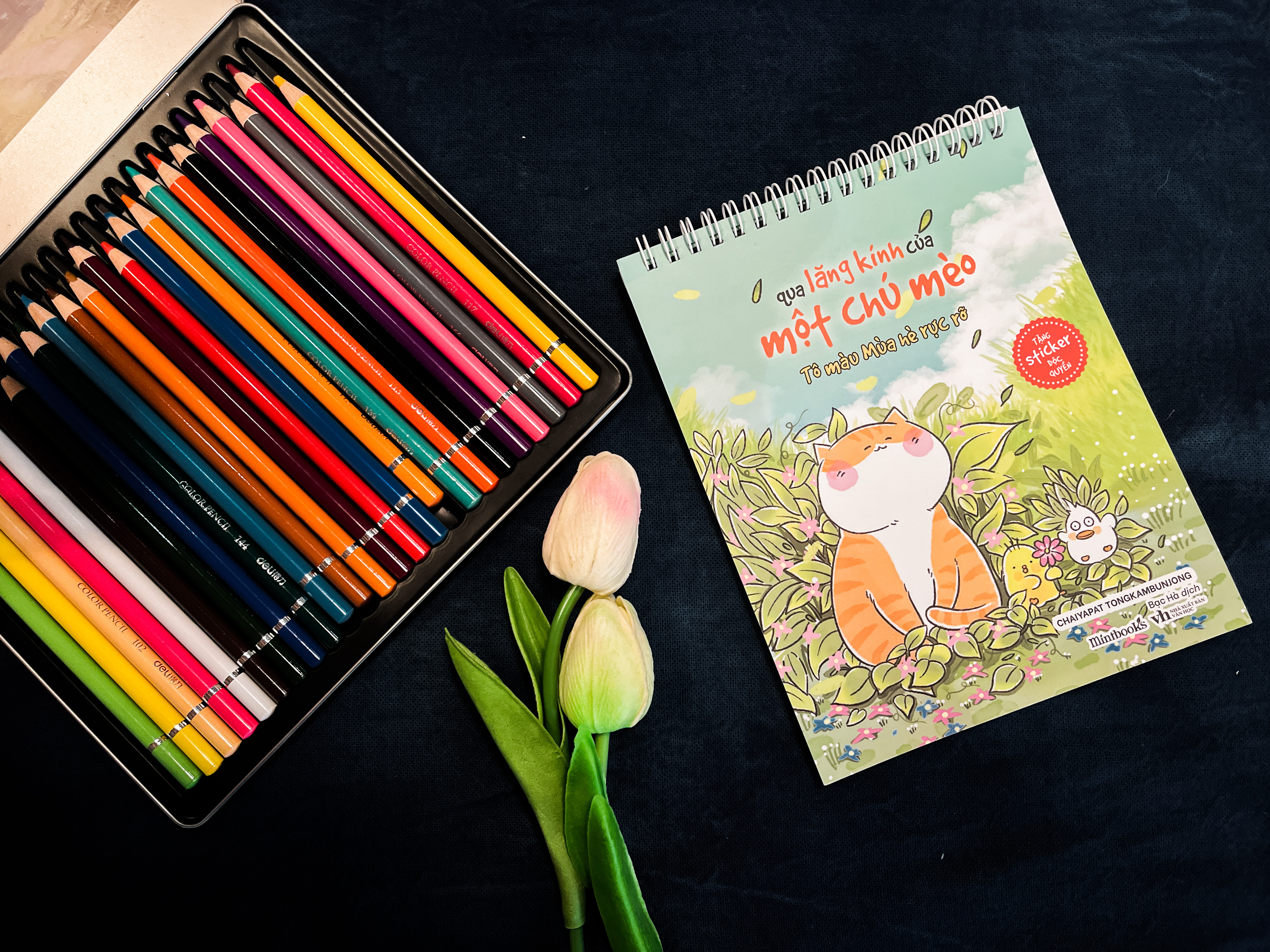 Qua Lang Kinh Cua Mot Chu Meo - To Mau Mua He Ruc Ro - Tang Kem Set Sticker