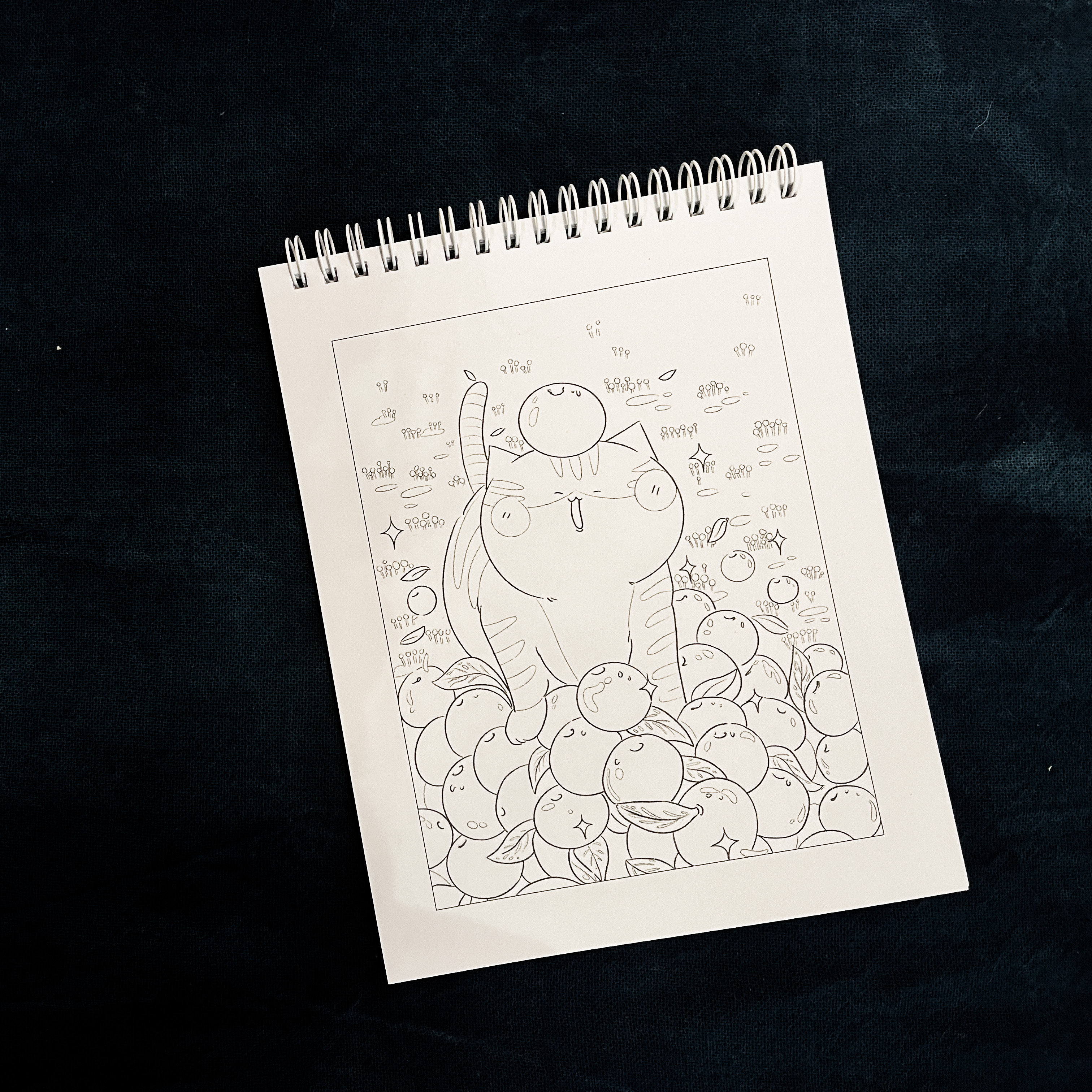 Qua Lang Kinh Cua Mot Chu Meo - To Mau Mua He Ruc Ro - Tang Kem Set Sticker