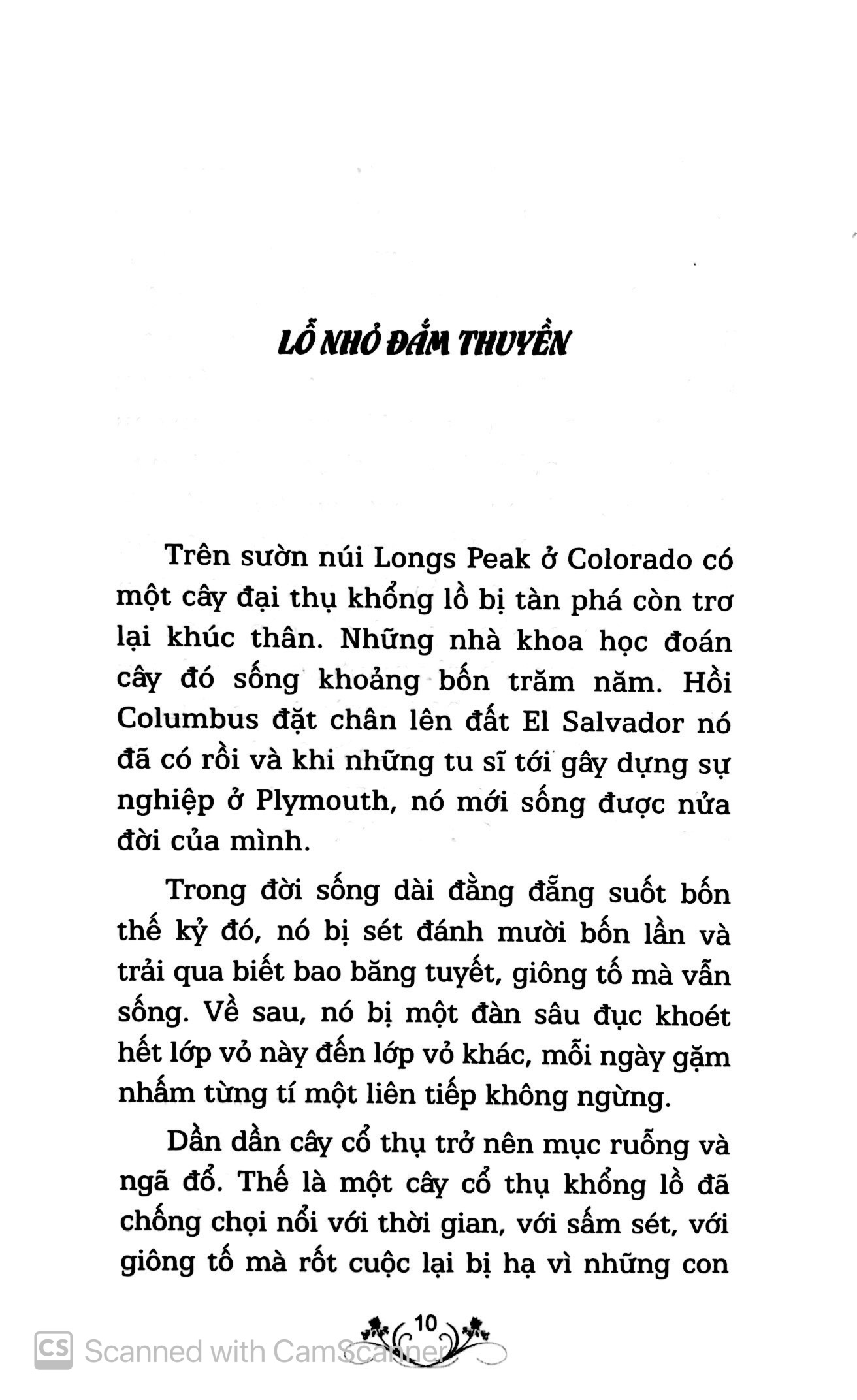 quà tặng cuộc sống - những bài học vô giá: lắng nghe hay nhận một viên đá