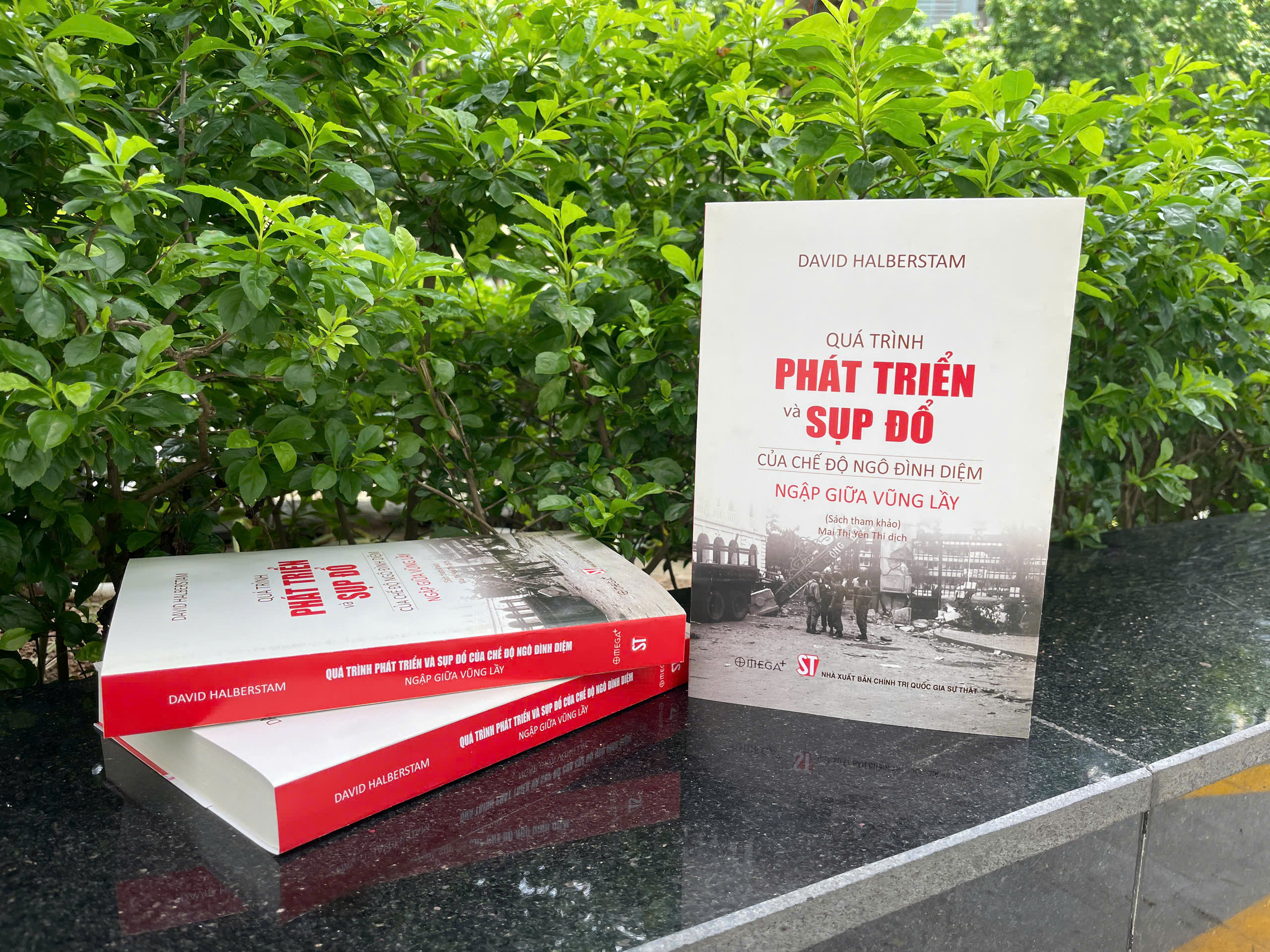 Qua Trinh Phat Trien Va Sup Do Cua Che Do Ngo Dinh Diem - Ngap Giua Vung Lay