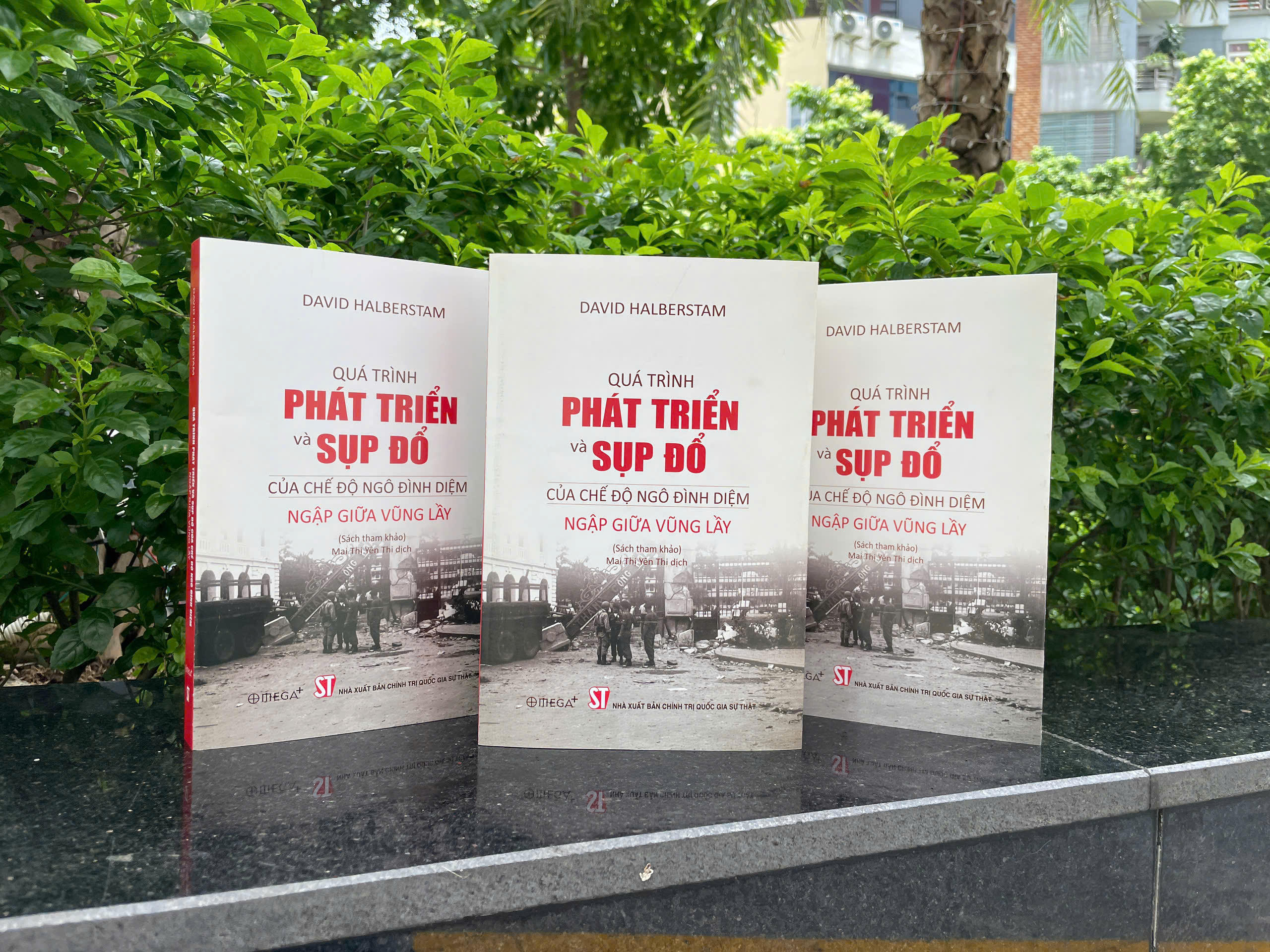 Qua Trinh Phat Trien Va Sup Do Cua Che Do Ngo Dinh Diem - Ngap Giua Vung Lay