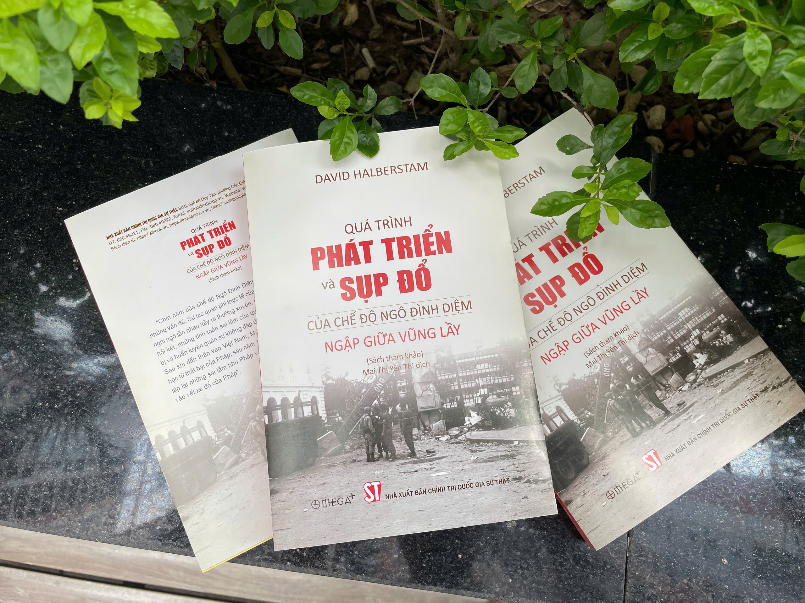 Qua Trinh Phat Trien Va Sup Do Cua Che Do Ngo Dinh Diem - Ngap Giua Vung Lay