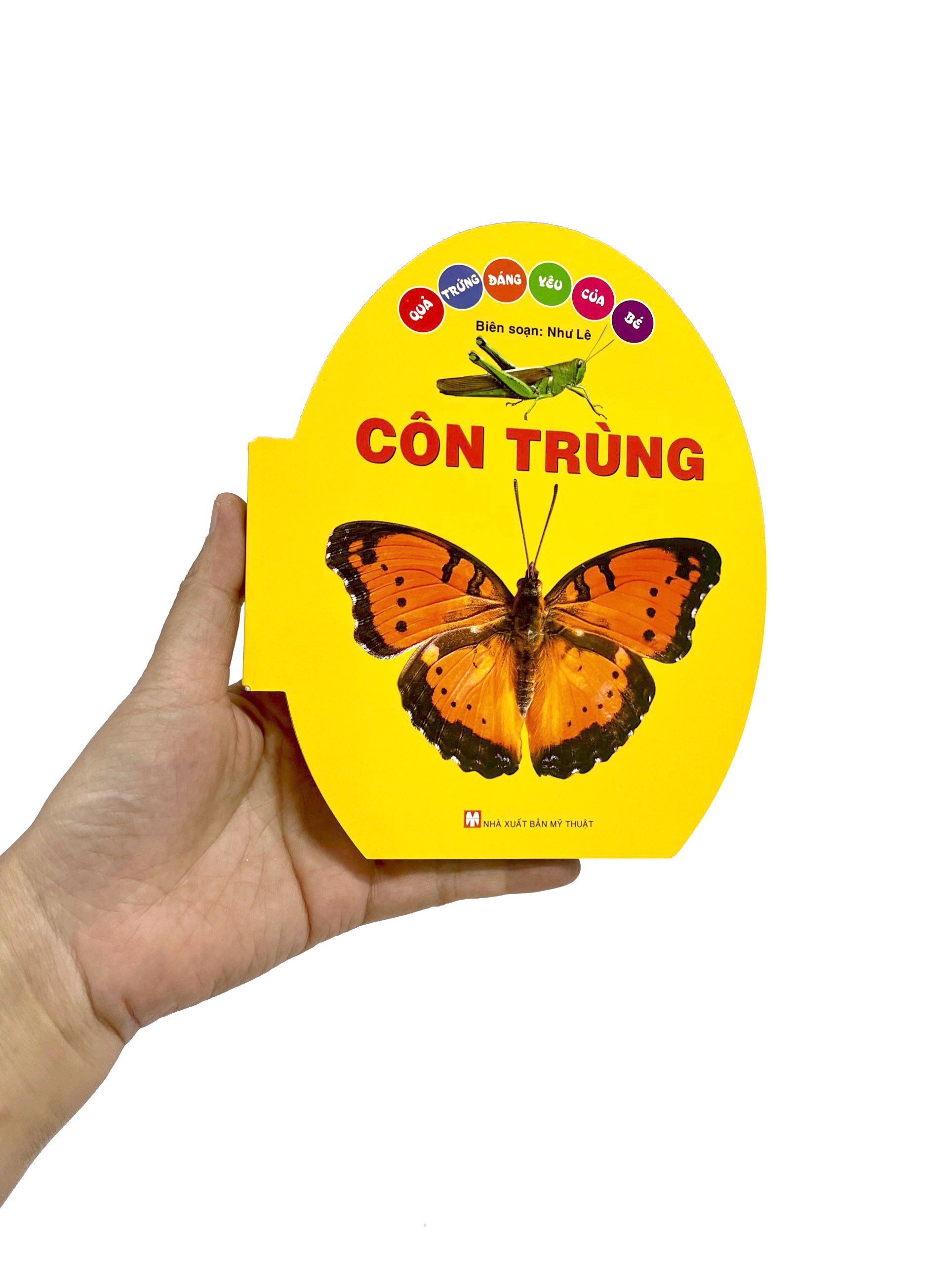 quả trứng đáng yêu của bé - côn trùng