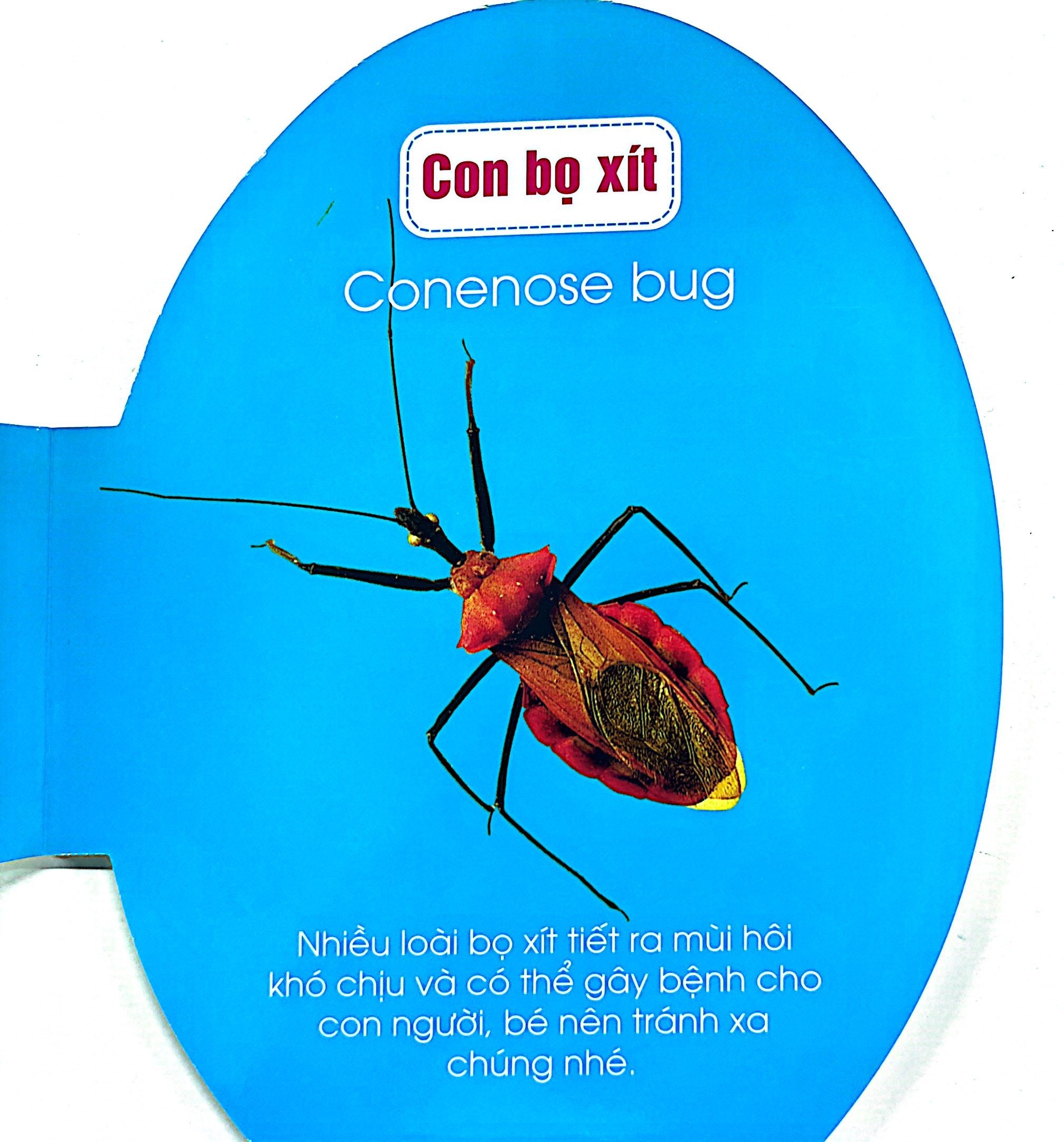 quả trứng đáng yêu của bé - côn trùng (tái bản 2024)