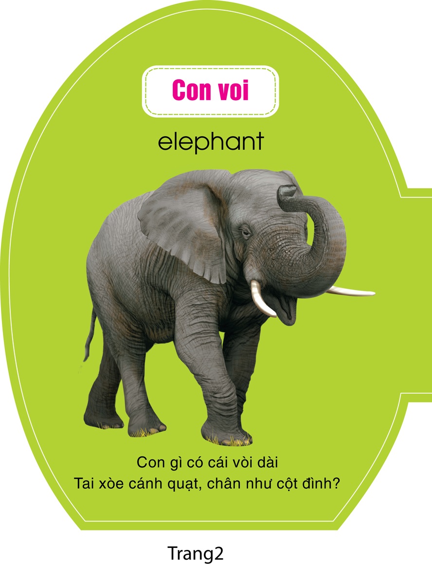 quả trứng đáng yêu của bé - động vật hoang dã