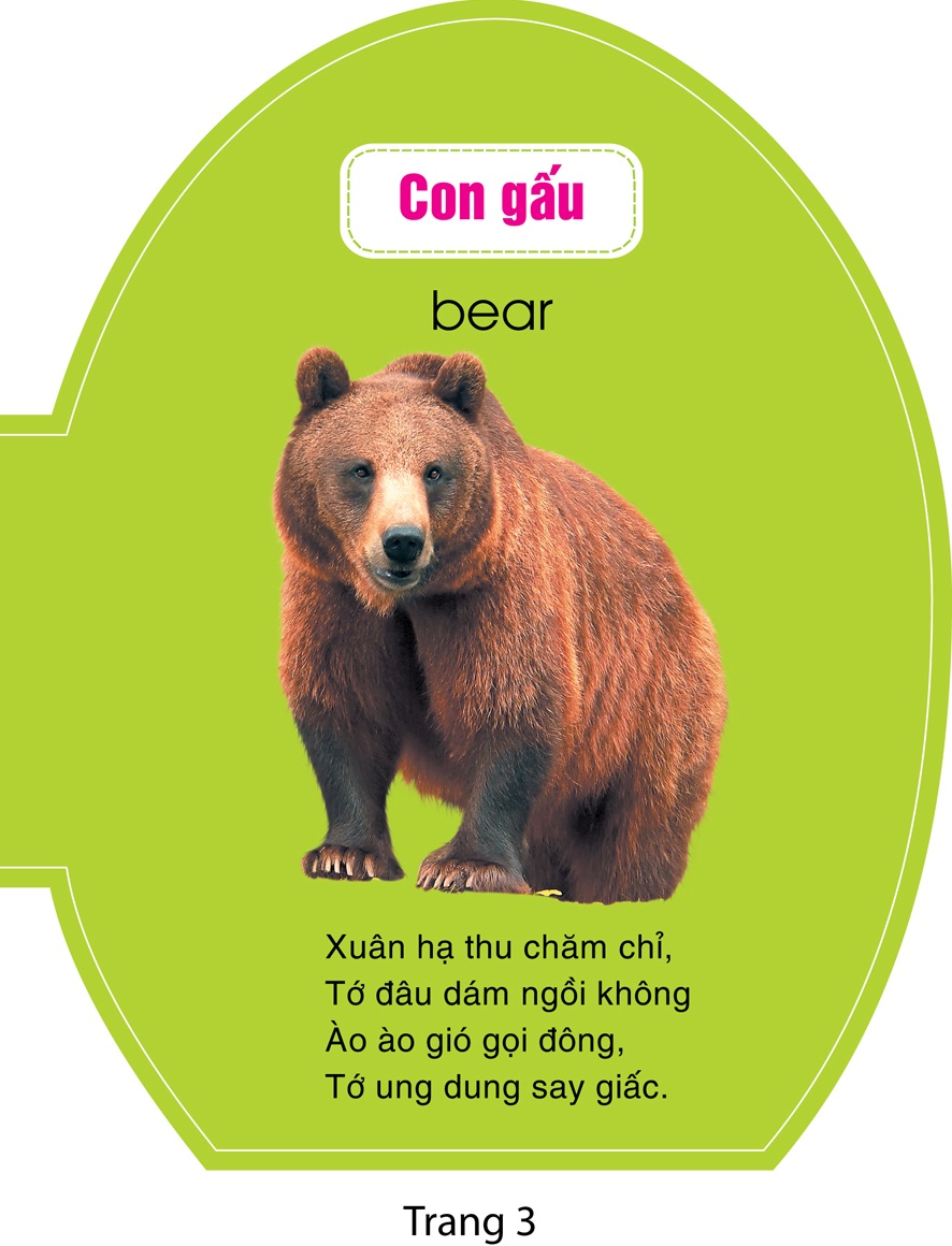 quả trứng đáng yêu của bé - động vật hoang dã