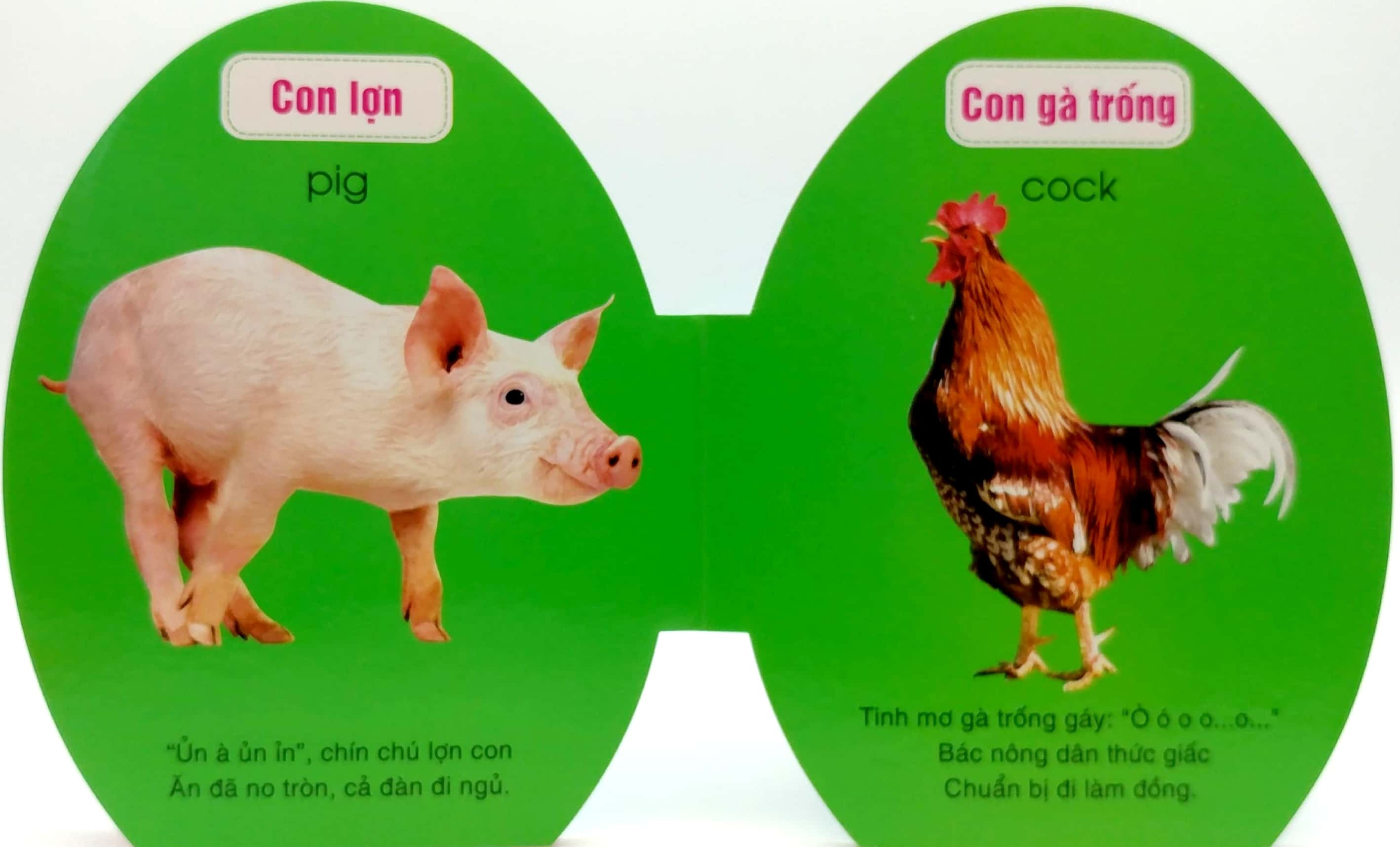 quả trứng đáng yêu của bé - động vật nuôi (tái bản 2024)