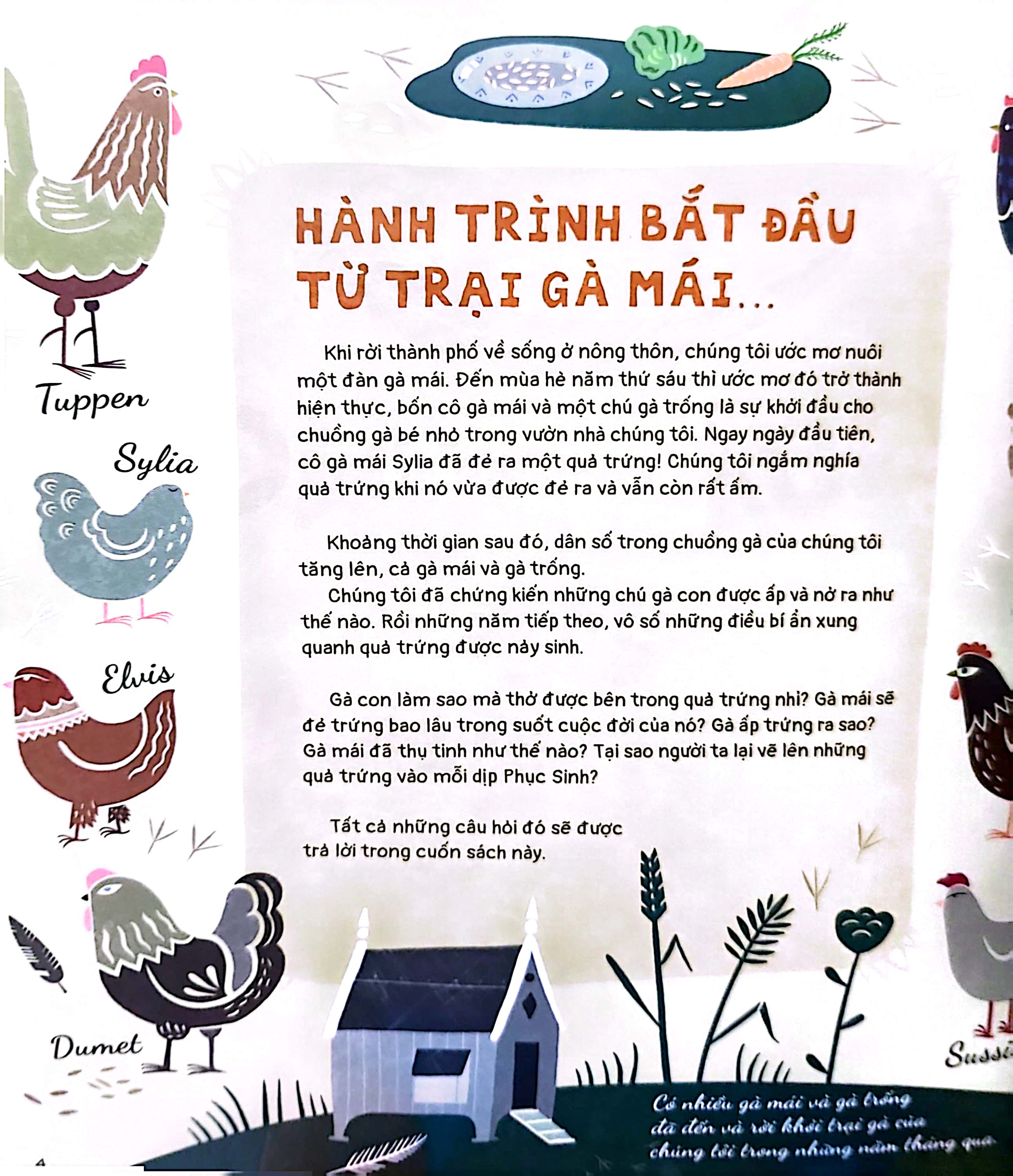 quả trứng và hơn thế nữa - dưới góc nhìn sinh học và văn hóa, kèm theo các trò chơi và thực hành thú vị